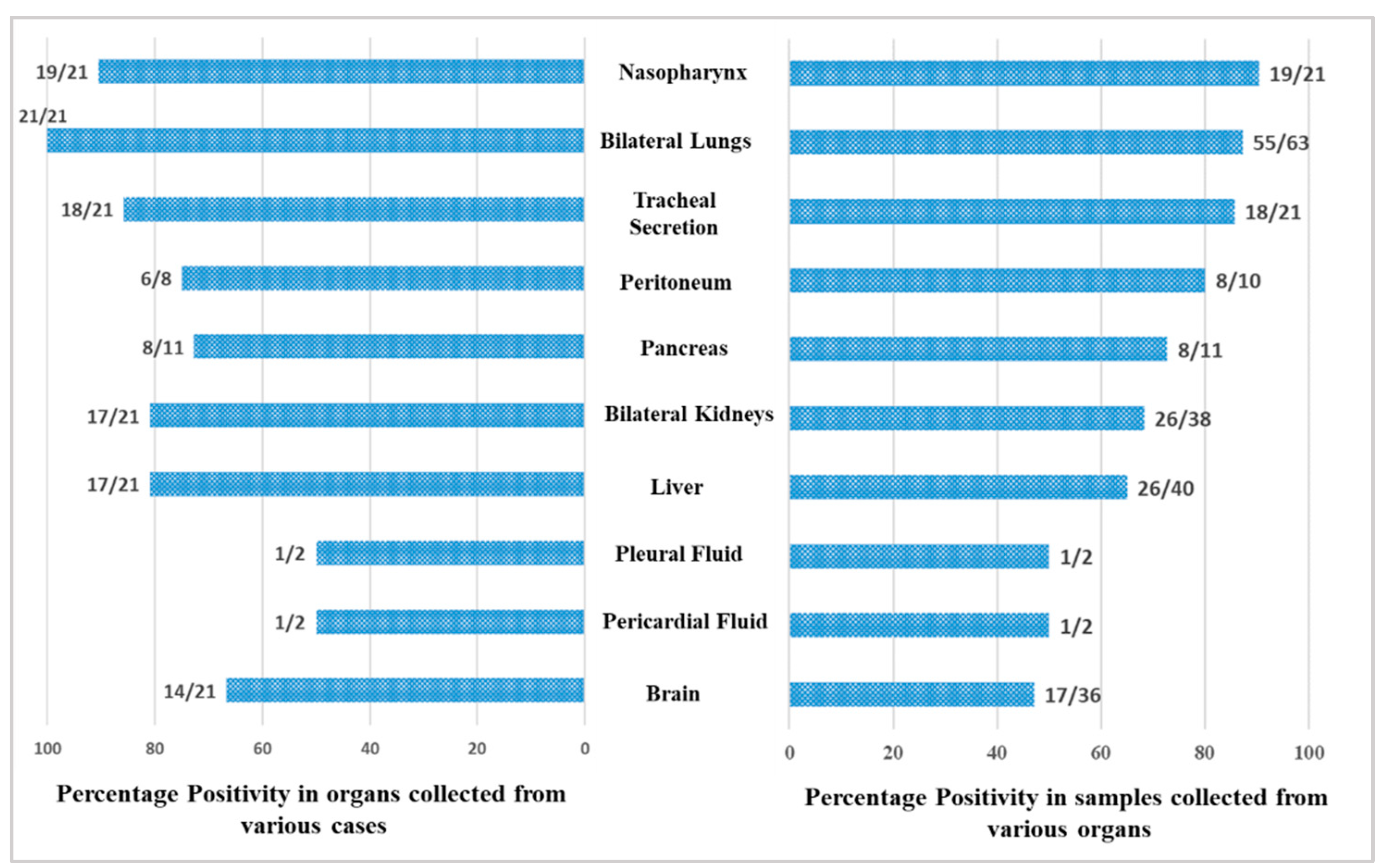 Microorganisms 10 01333 g002 550