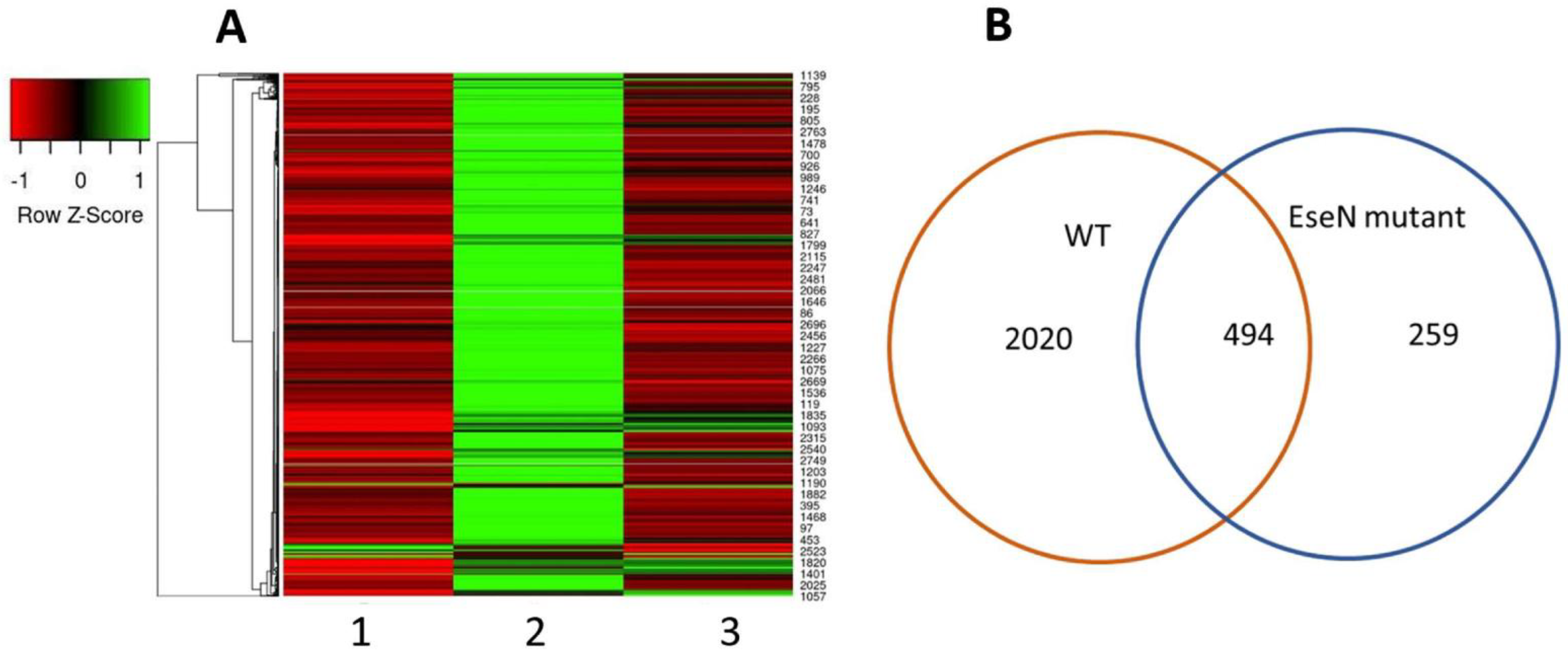 Microorganisms 10 01334 g001 550