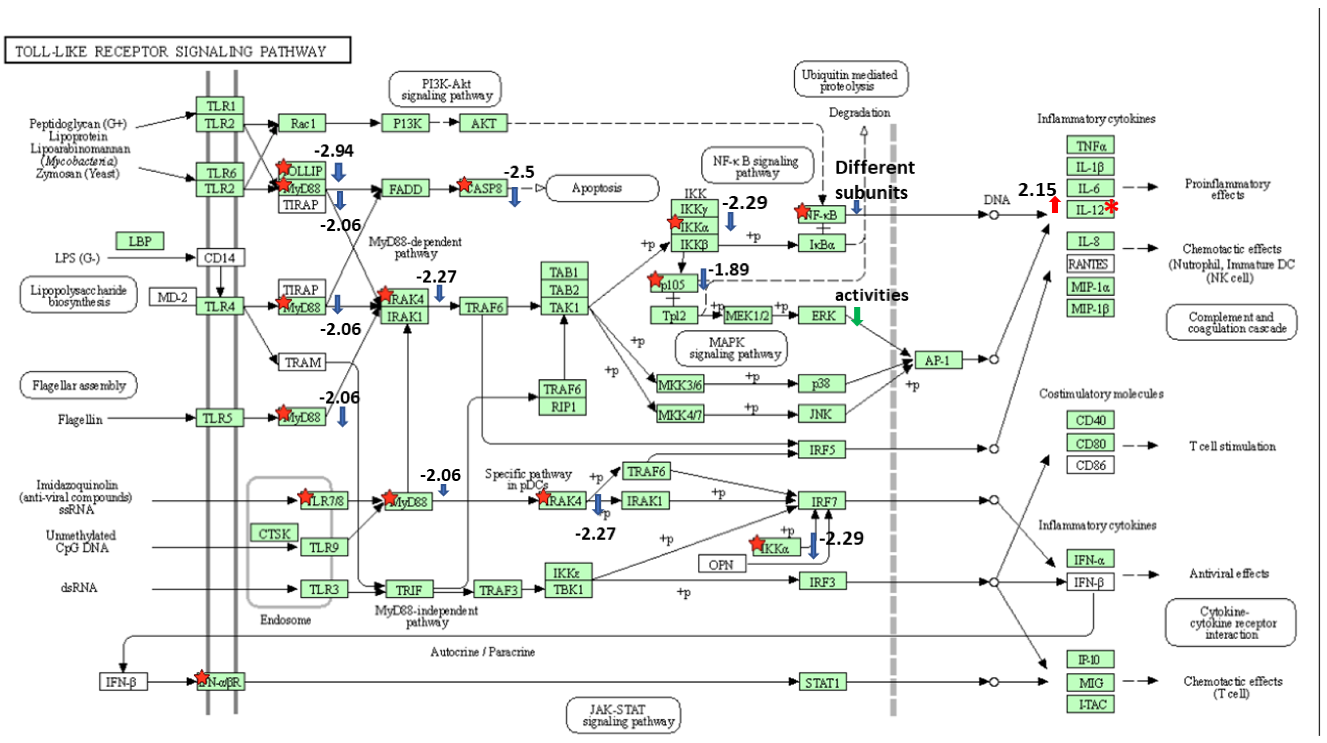 Microorganisms 10 01334 g003 550