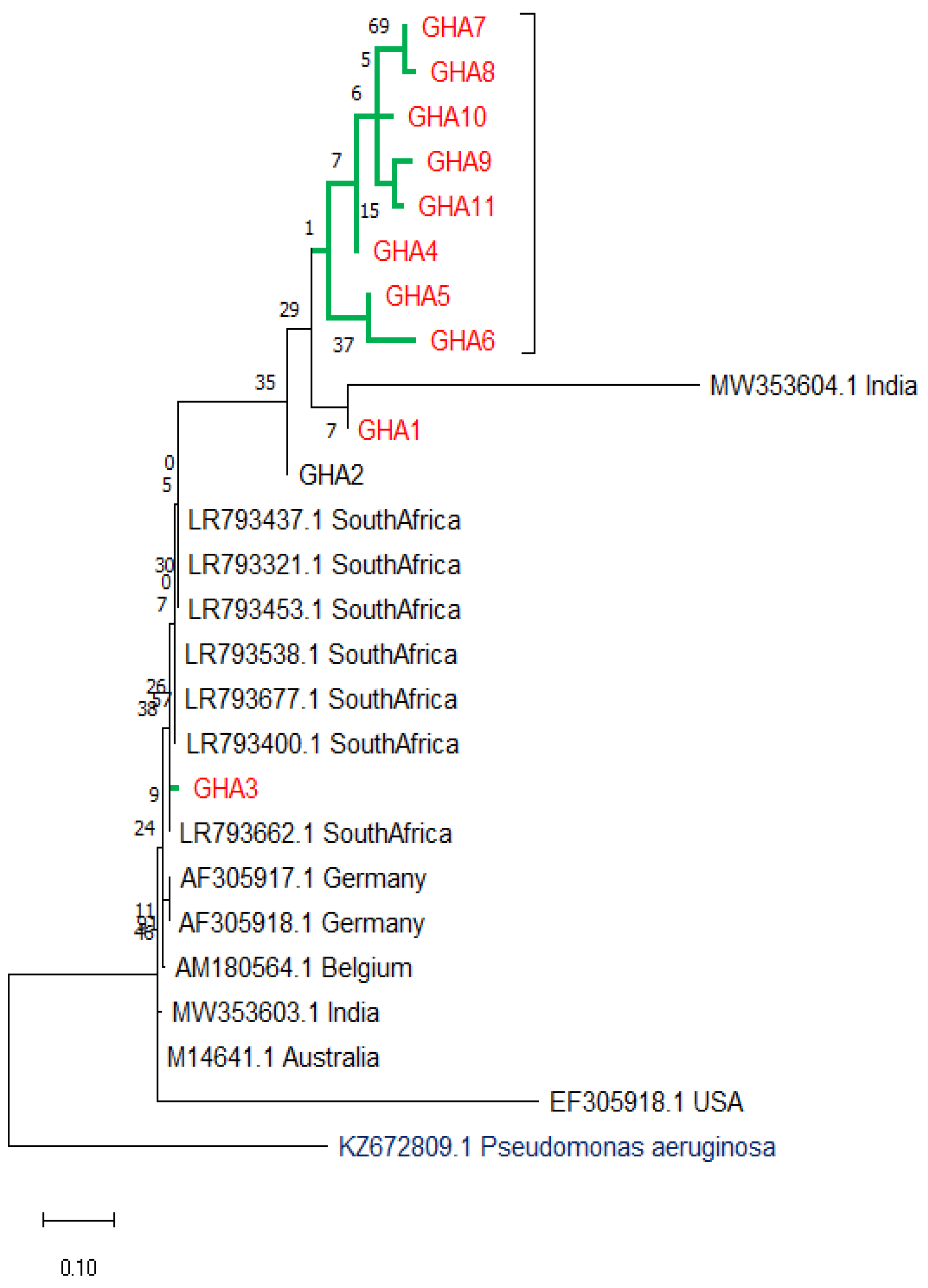 Microorganisms 10 01335 g003