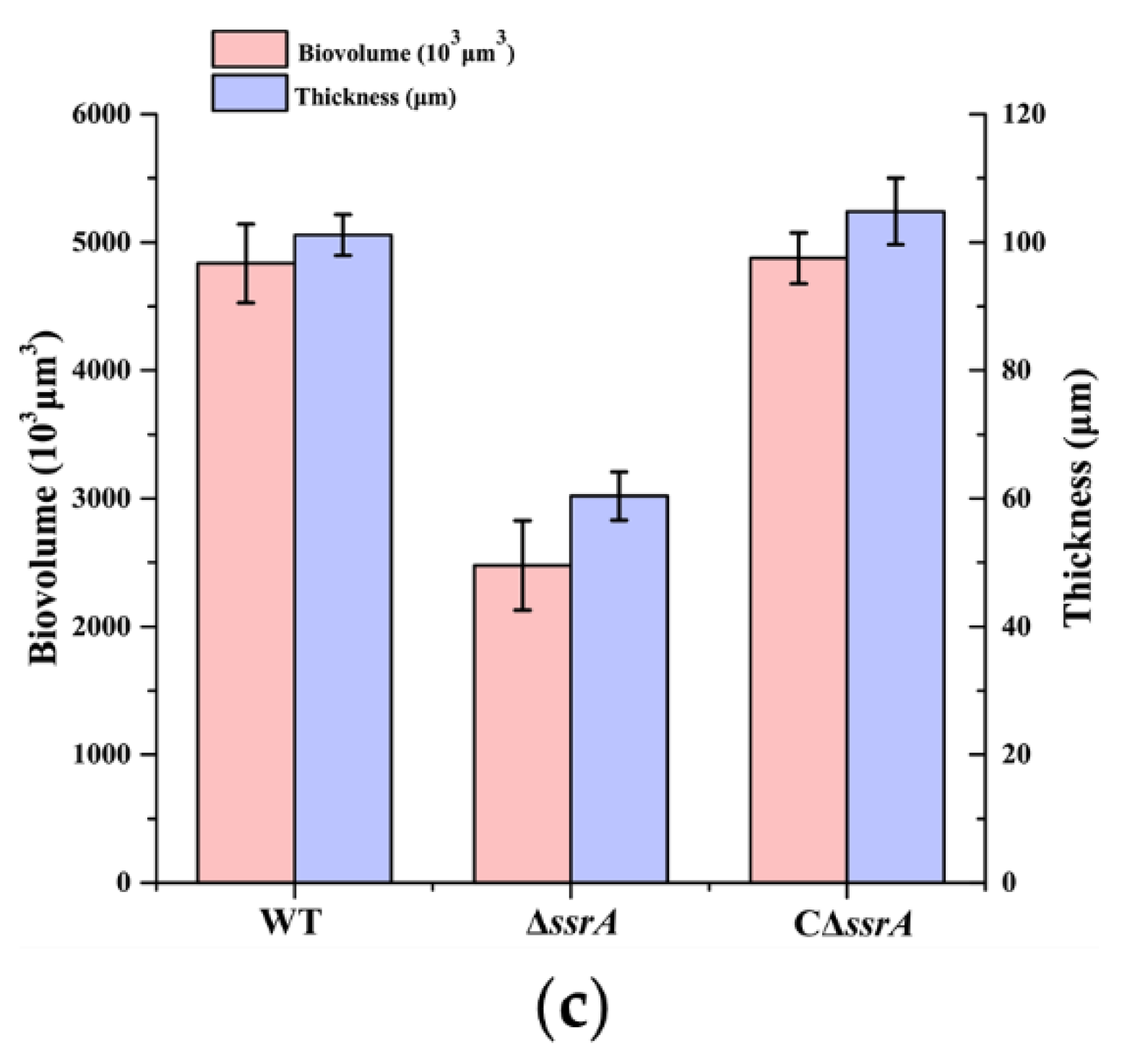 Microorganisms 10 01338 g001b Microorganisms 10 01338 g001b
