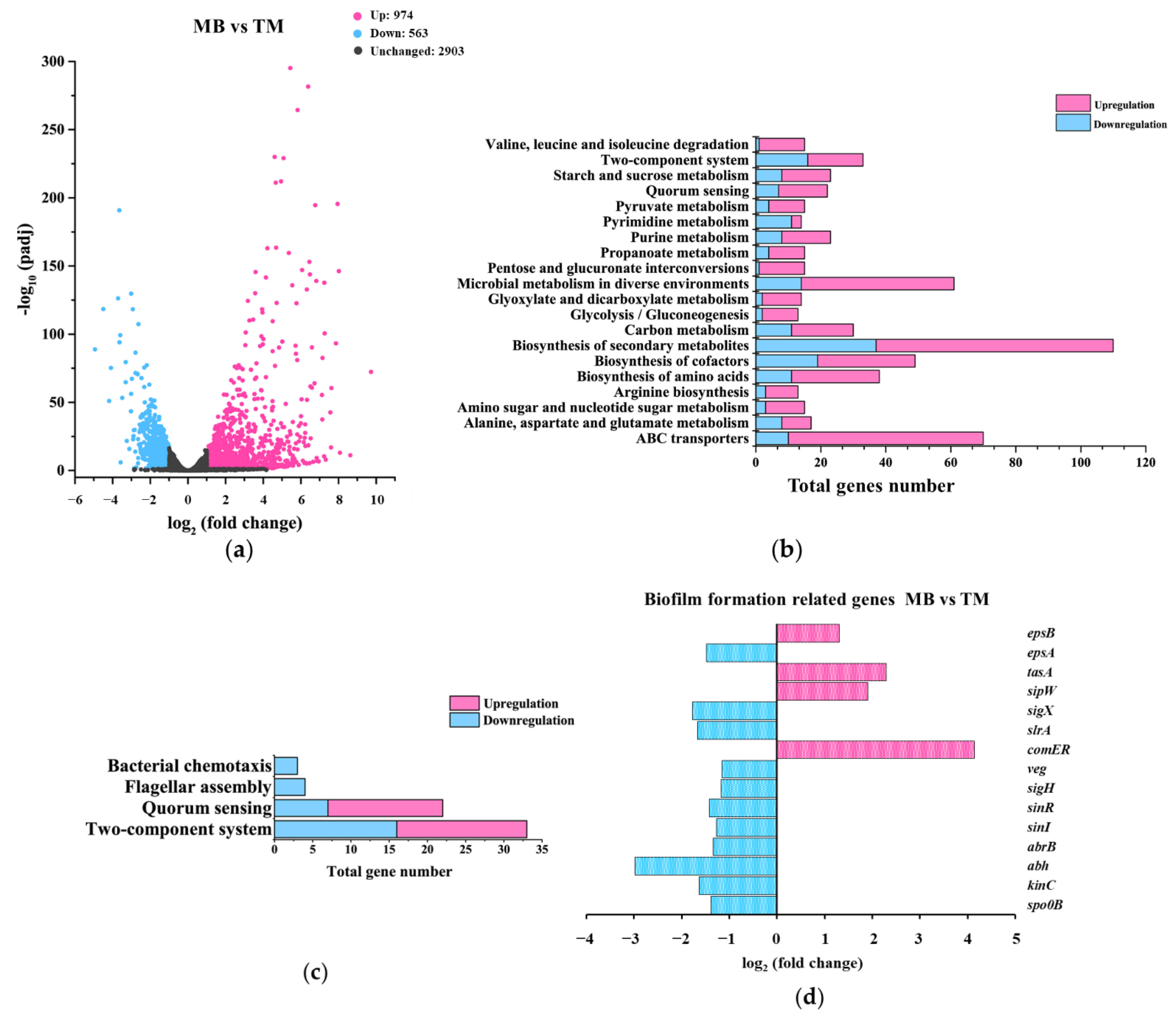 Microorganisms 10 01338 g004 Microorganisms 10 01338 g004