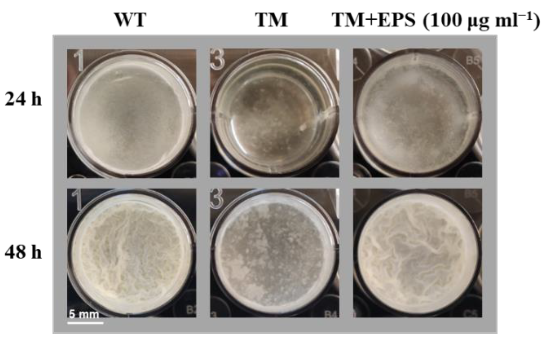 Microorganisms 10 01338 g006 Microorganisms 10 01338 g006