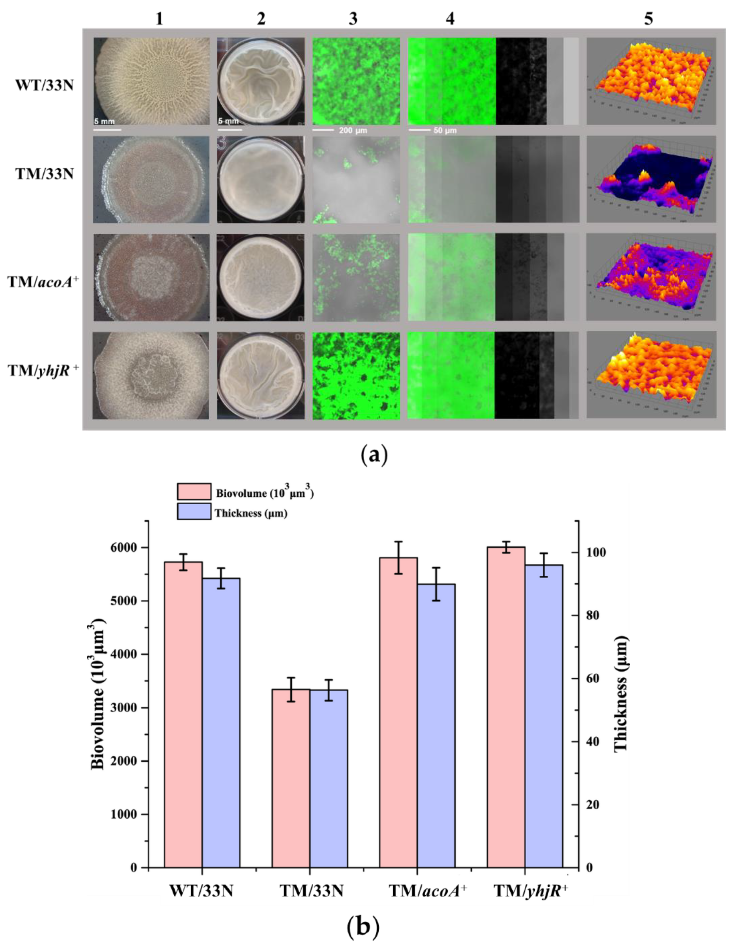 Microorganisms 10 01338 g007 Microorganisms 10 01338 g007