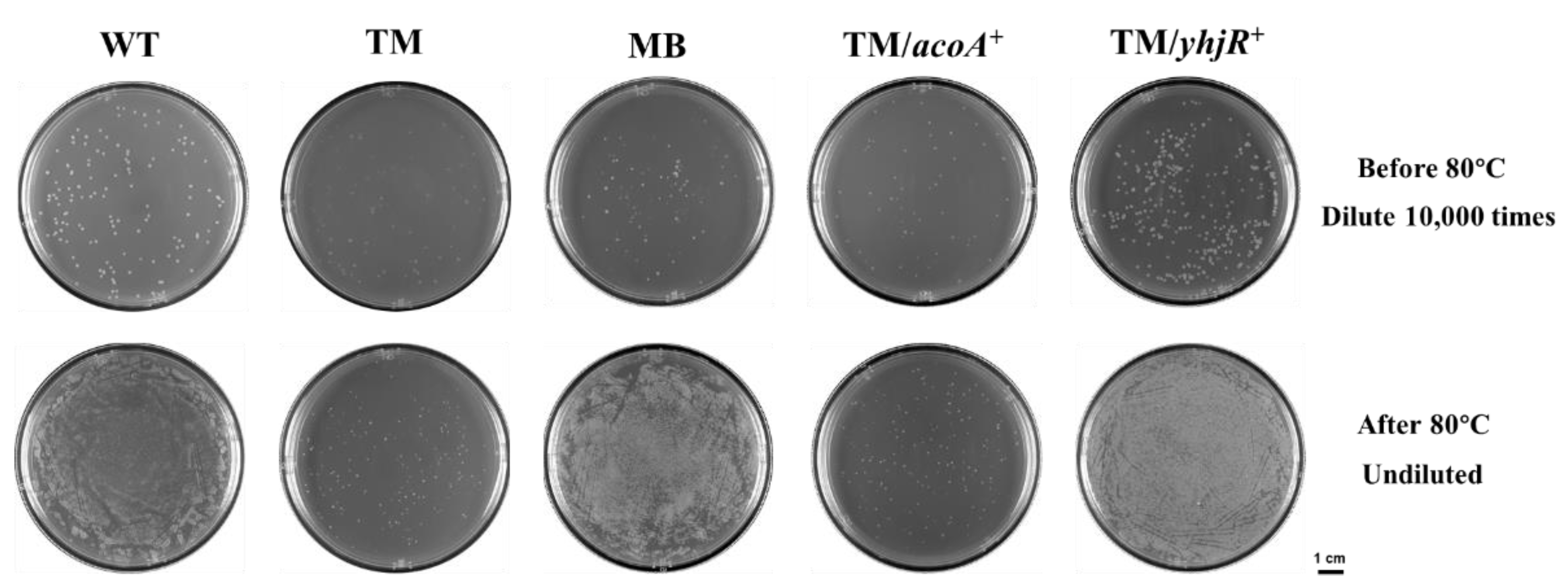 Microorganisms 10 01338 g008 Microorganisms 10 01338 g008