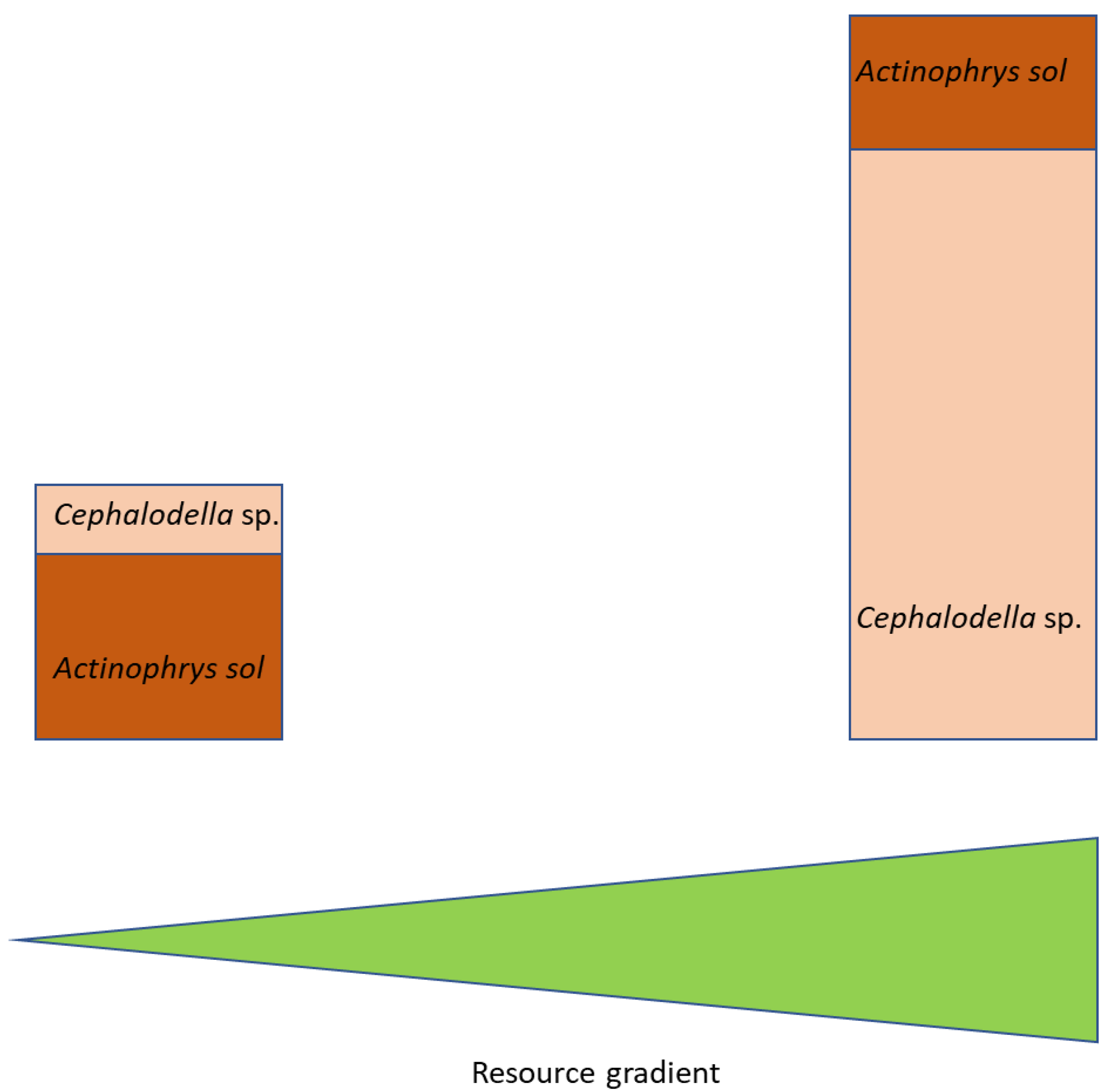 Microorganisms 10 01340 g004