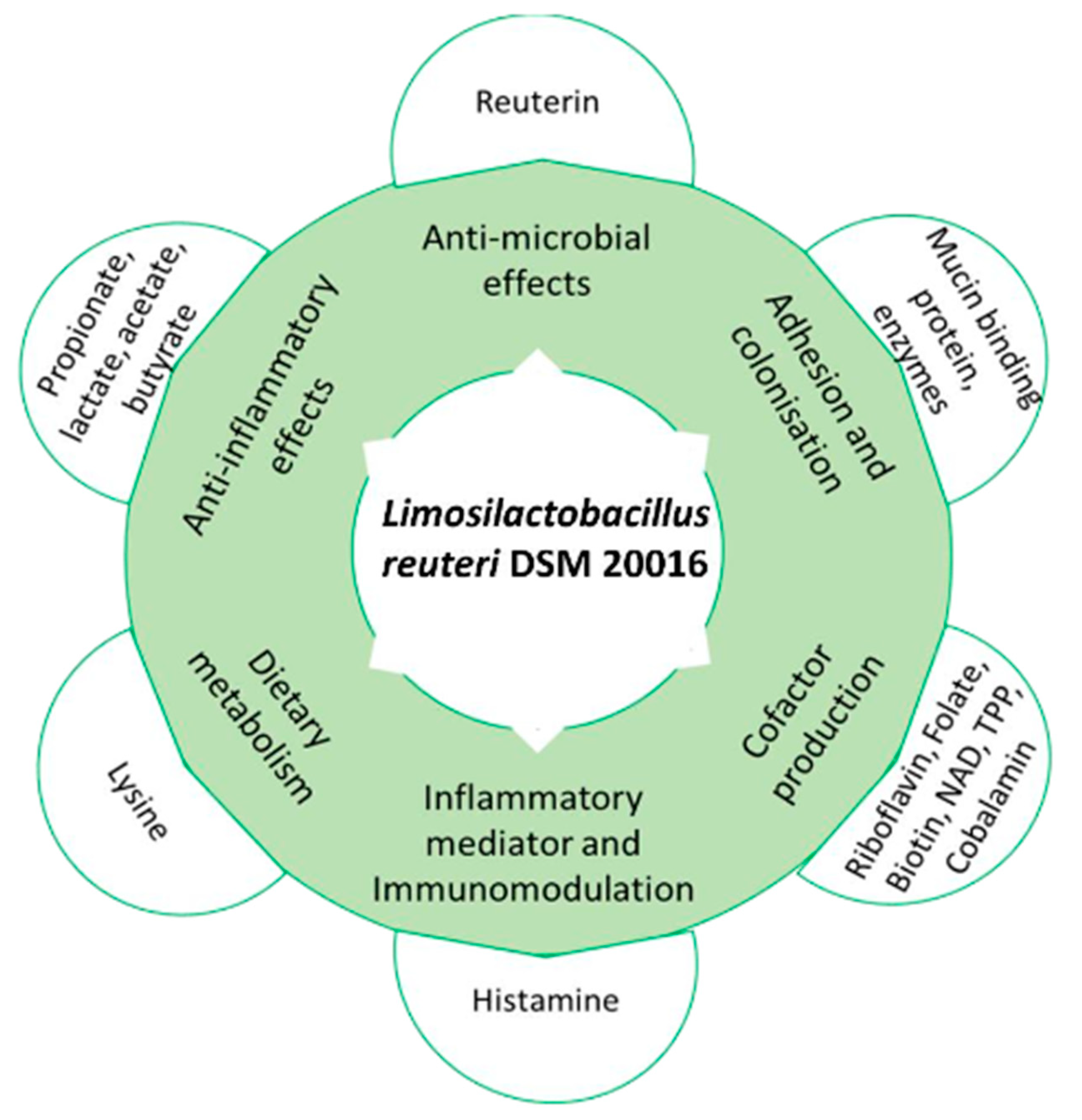 Microorganisms 10 01341 g001 550