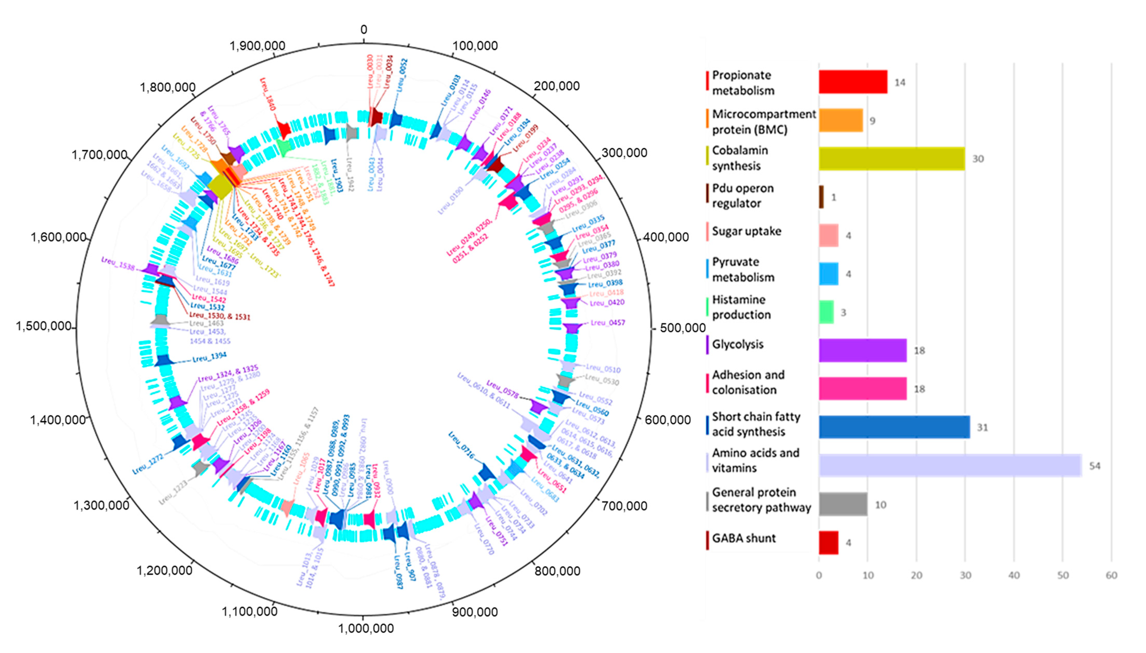 Microorganisms 10 01341 g003 550