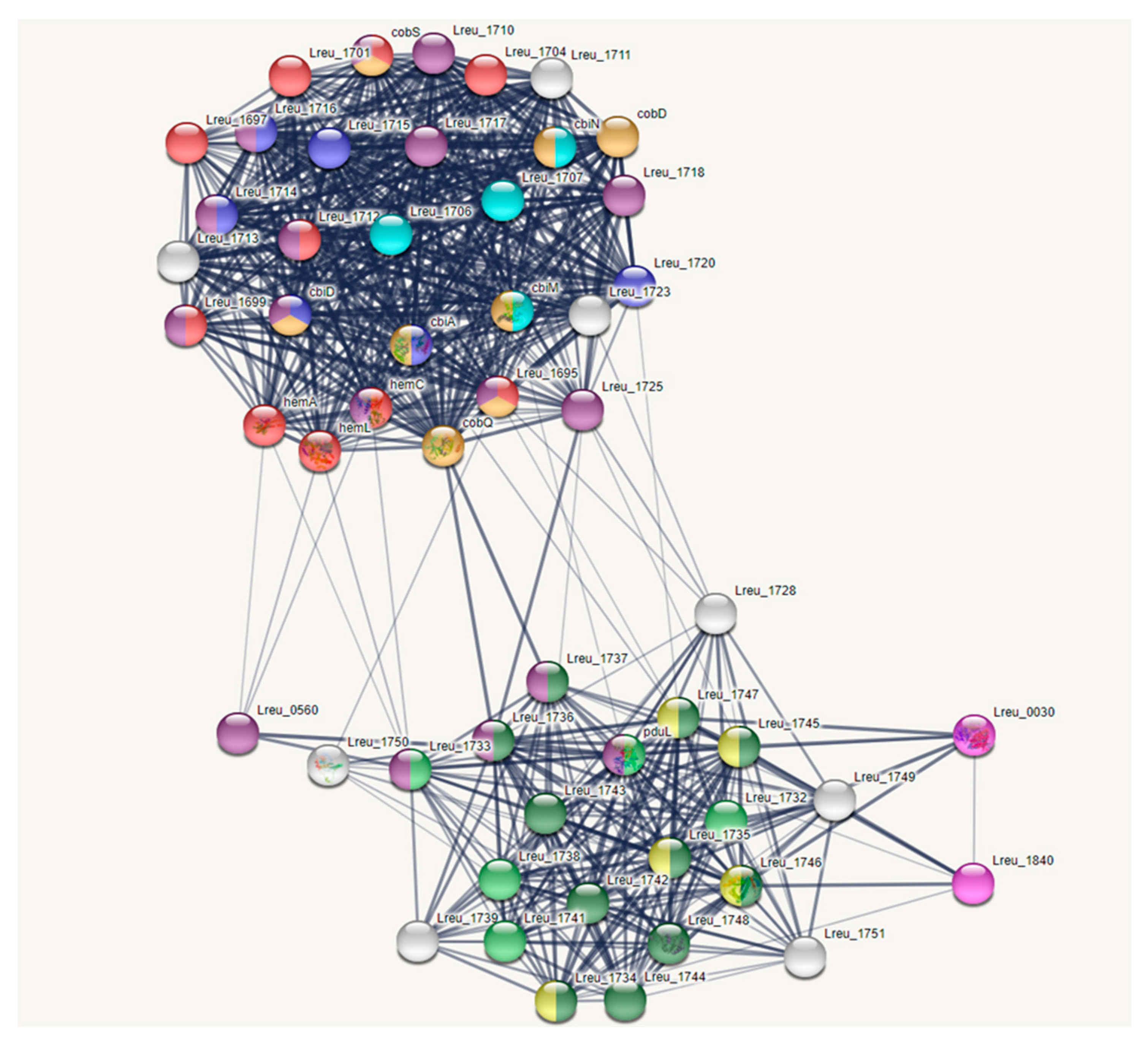 Microorganisms 10 01341 g004 550