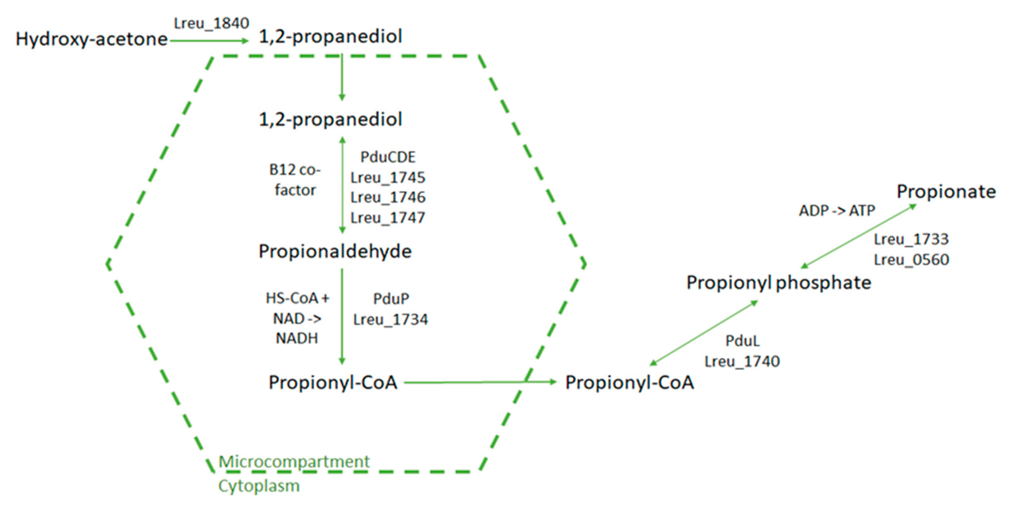 Microorganisms 10 01341 g006 550