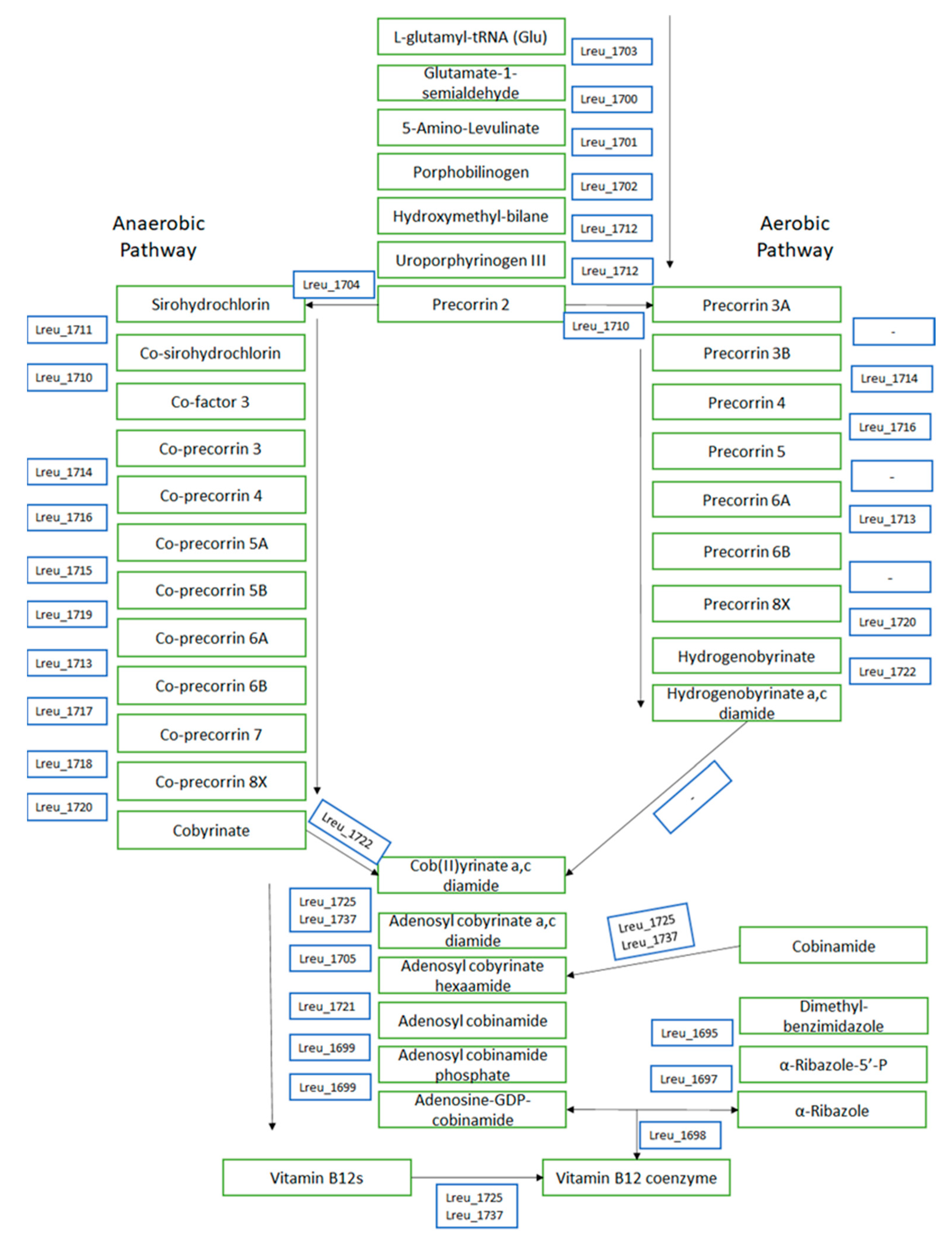 Microorganisms 10 01341 g007 550