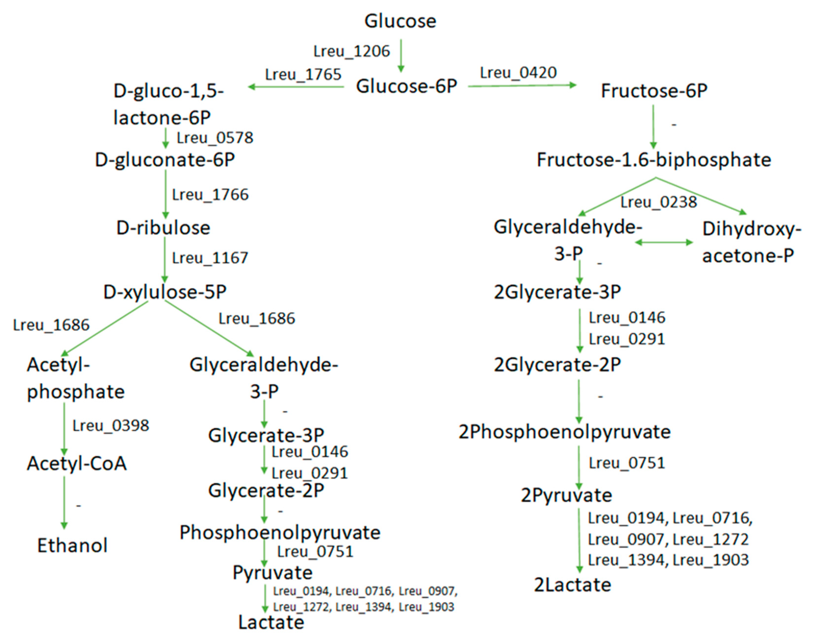 Microorganisms 10 01341 g008 550