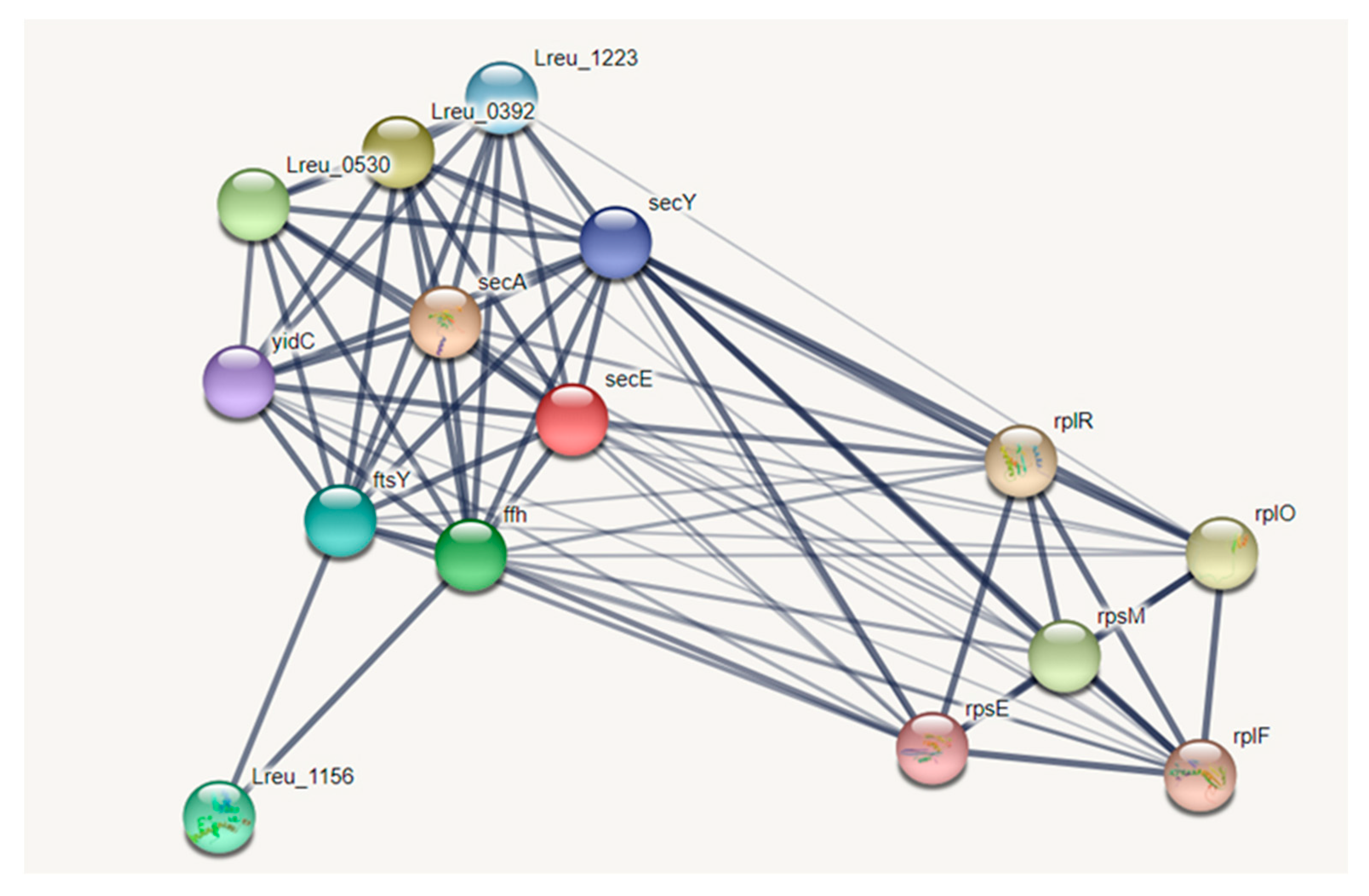 Microorganisms 10 01341 g011 550