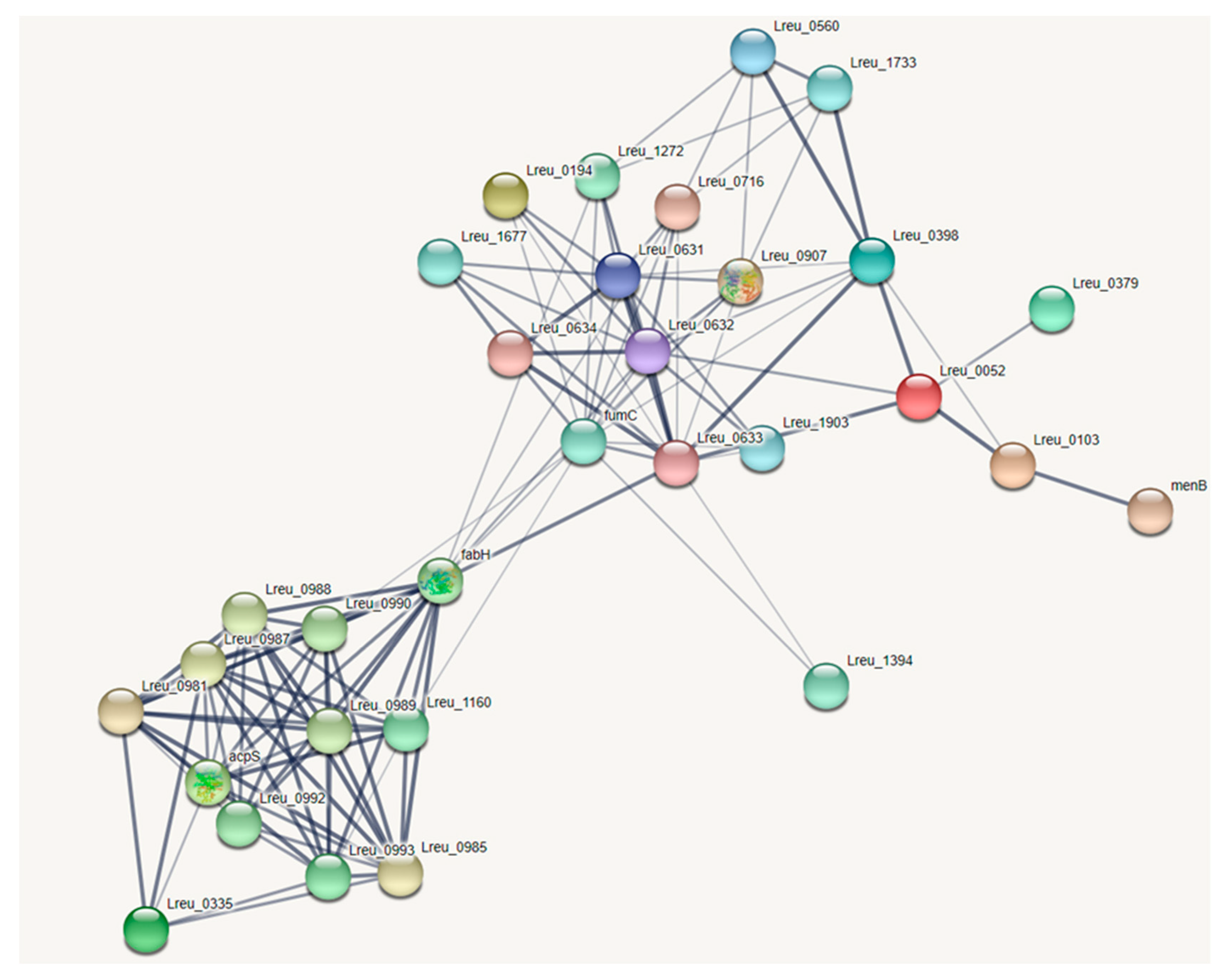 Microorganisms 10 01341 g014 550