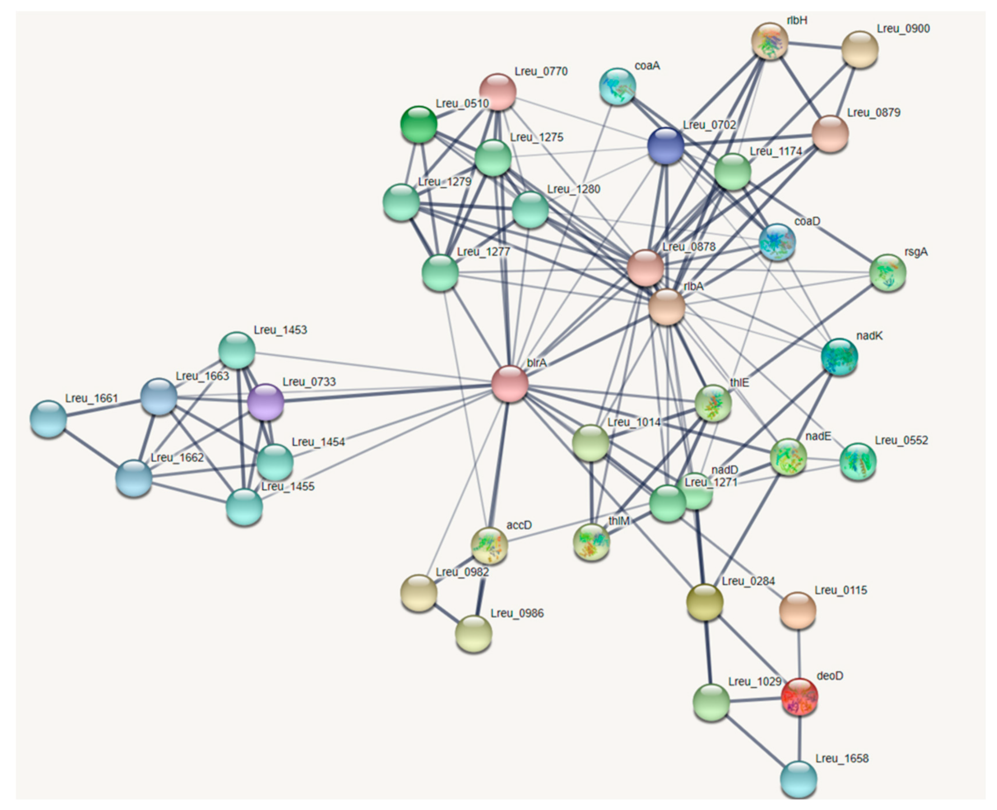 Microorganisms 10 01341 g017 550