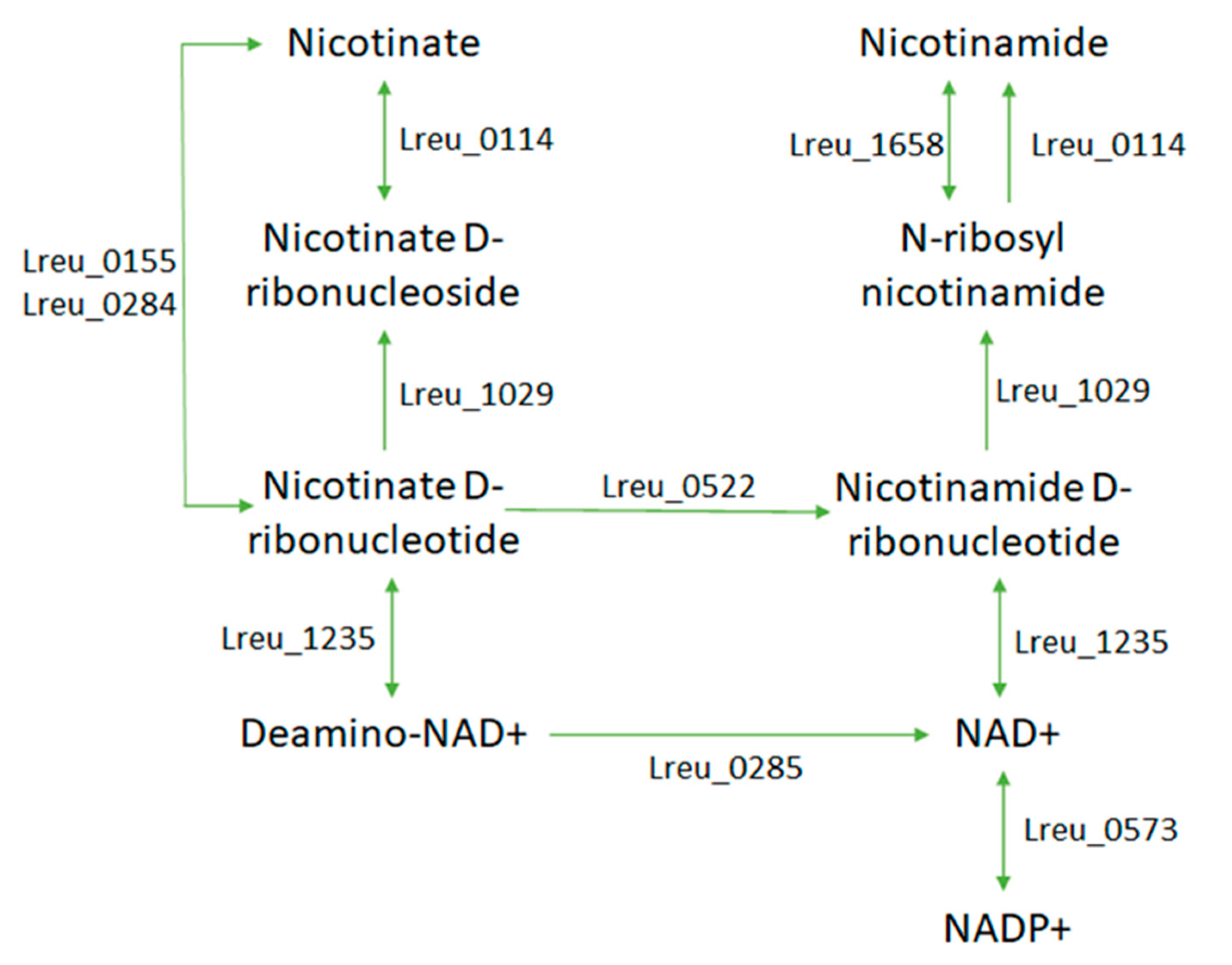 Microorganisms 10 01341 g022 550