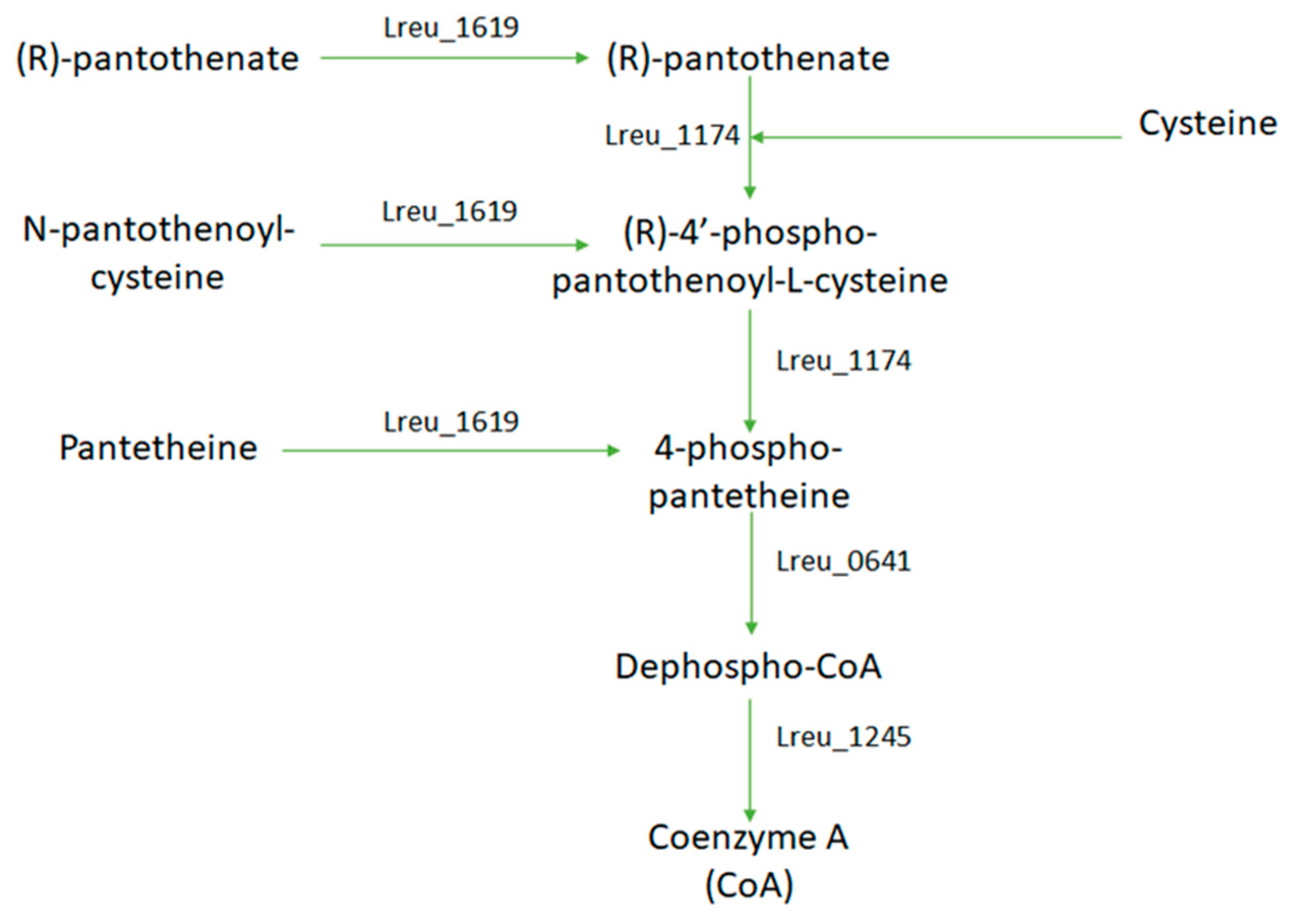 Microorganisms 10 01341 g023 550