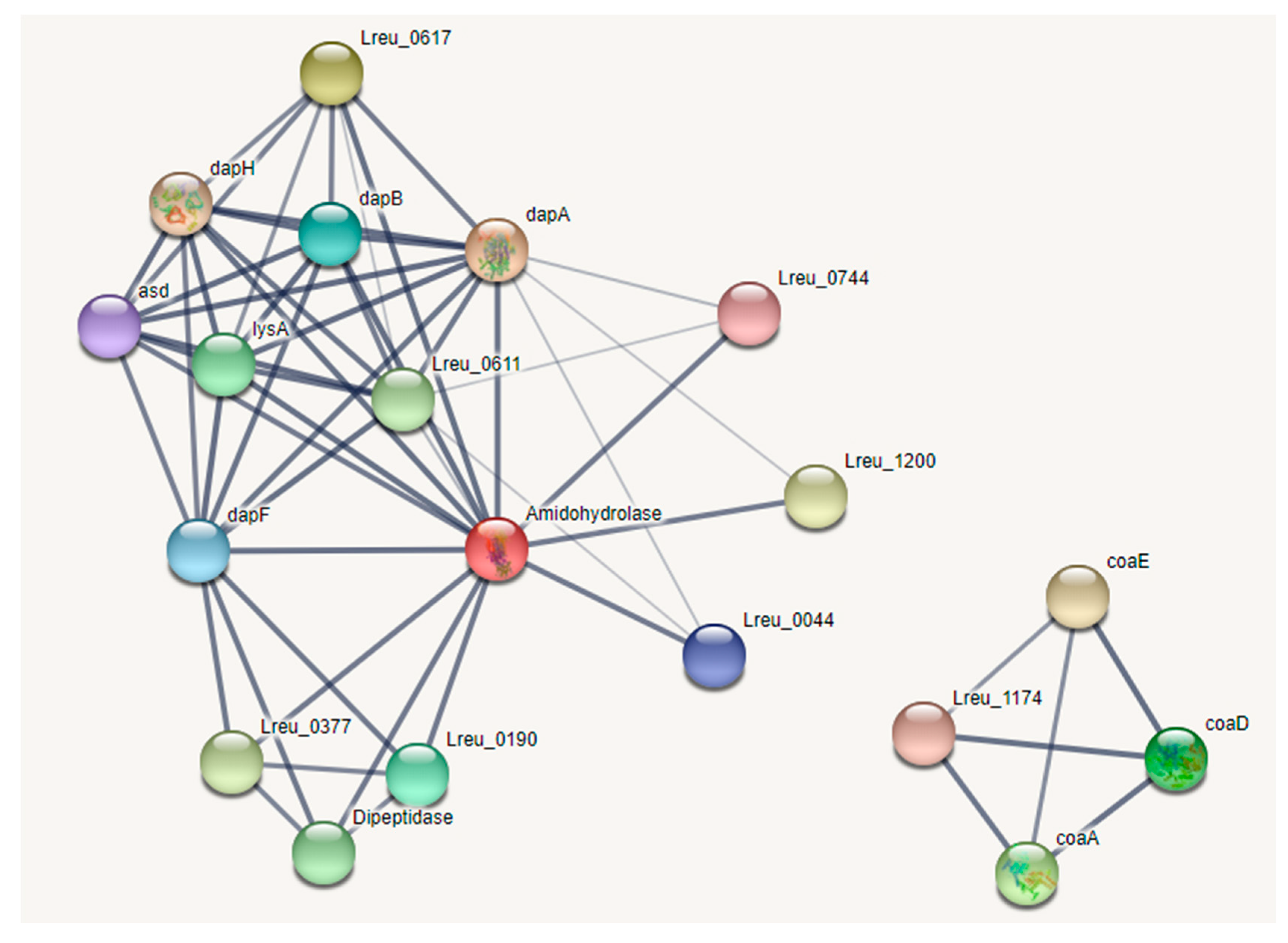 Microorganisms 10 01341 g025 550