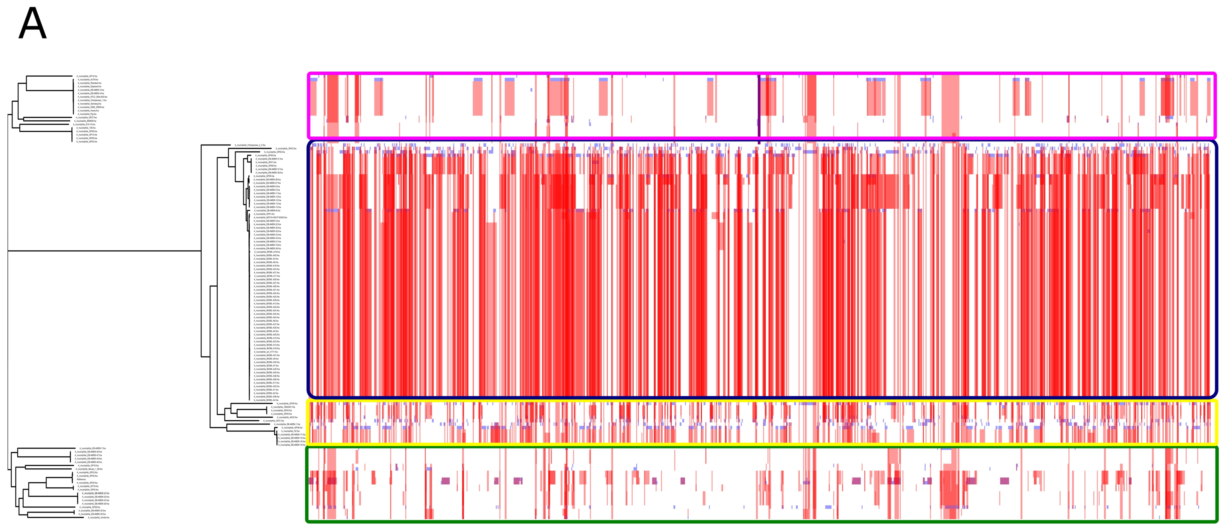 Microorganisms 10 01350 g009a