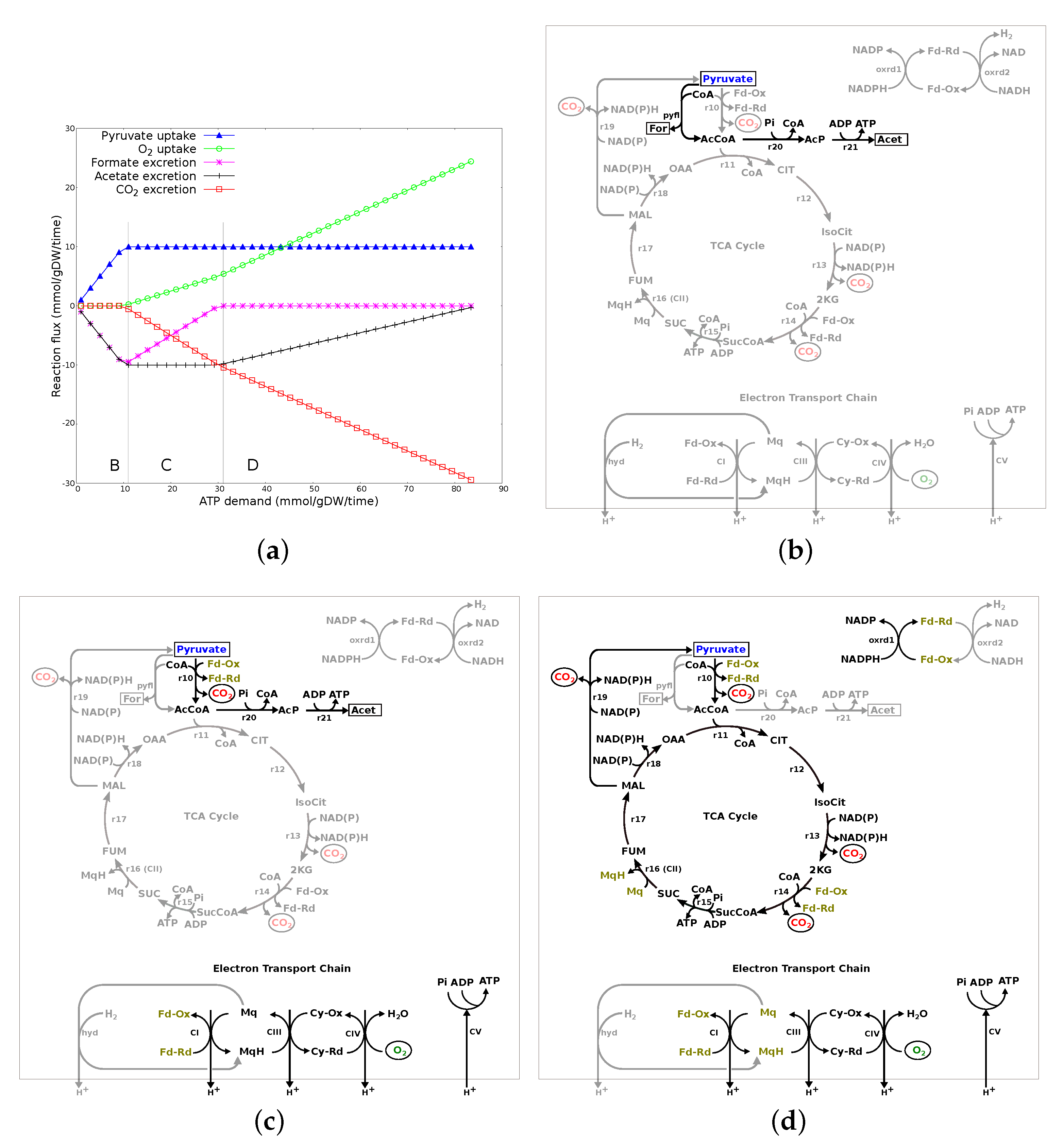 Microorganisms 10 01355 g004