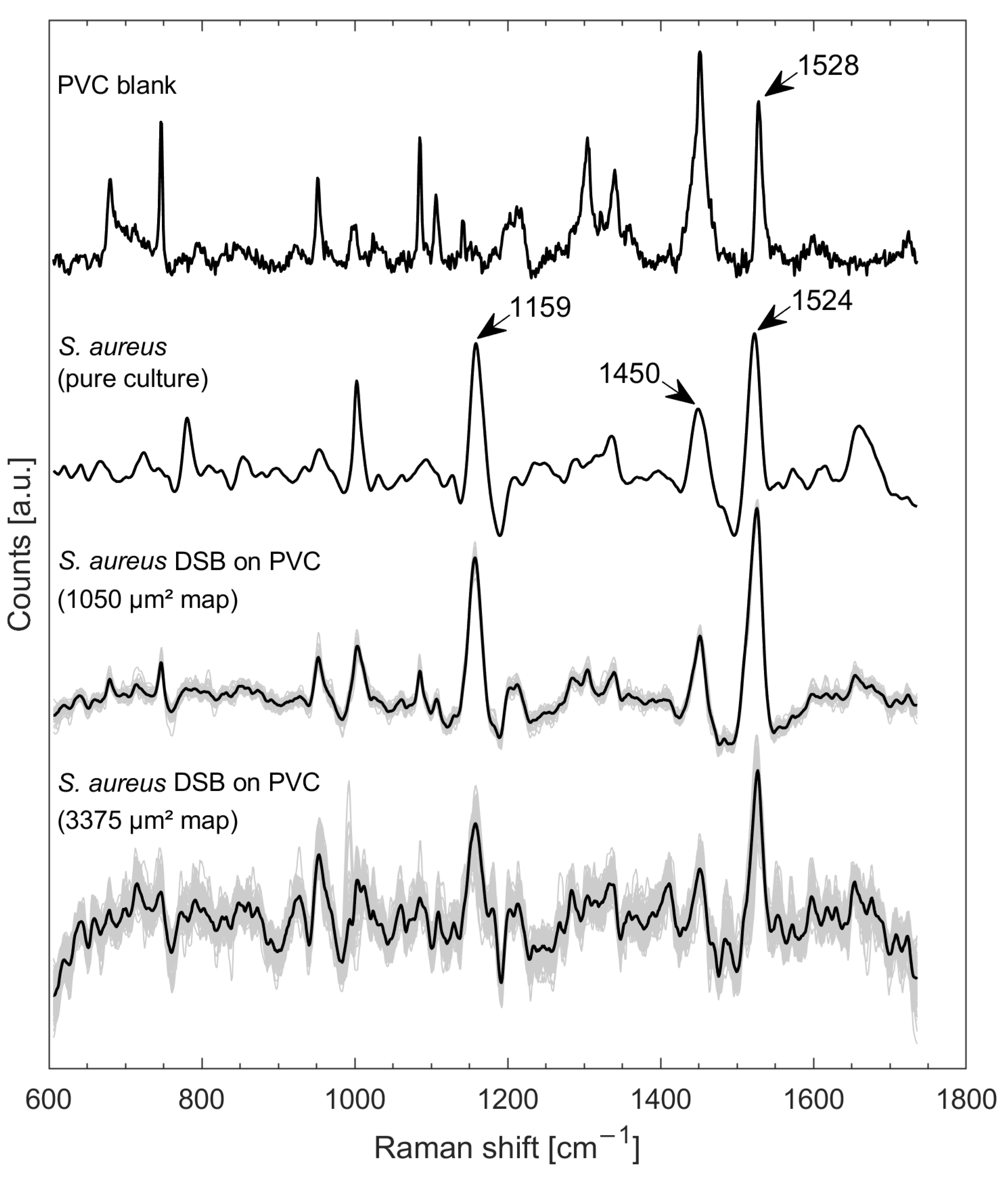 Microorganisms 10 01369 g001