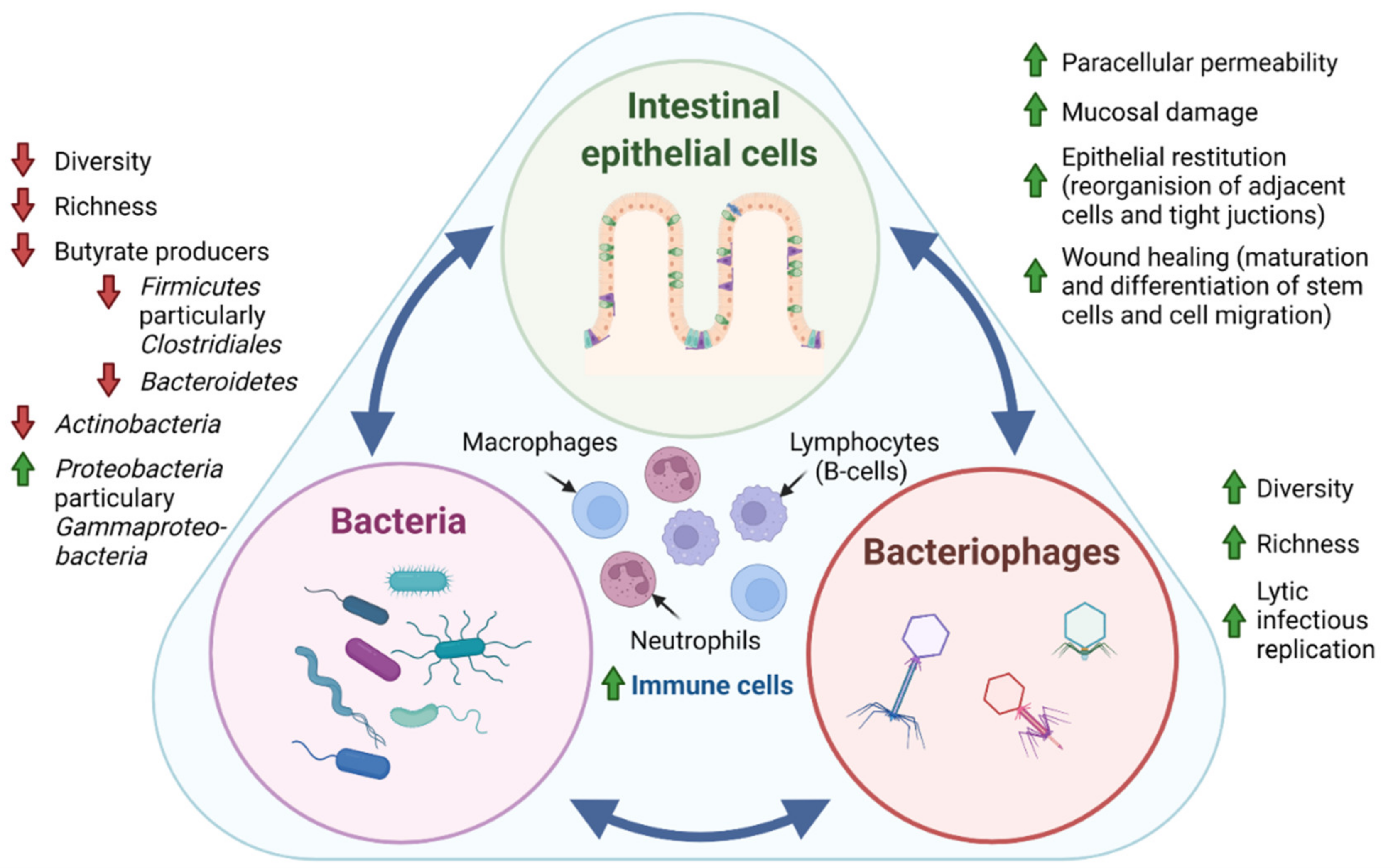 Microorganisms 10 01371 g001 550