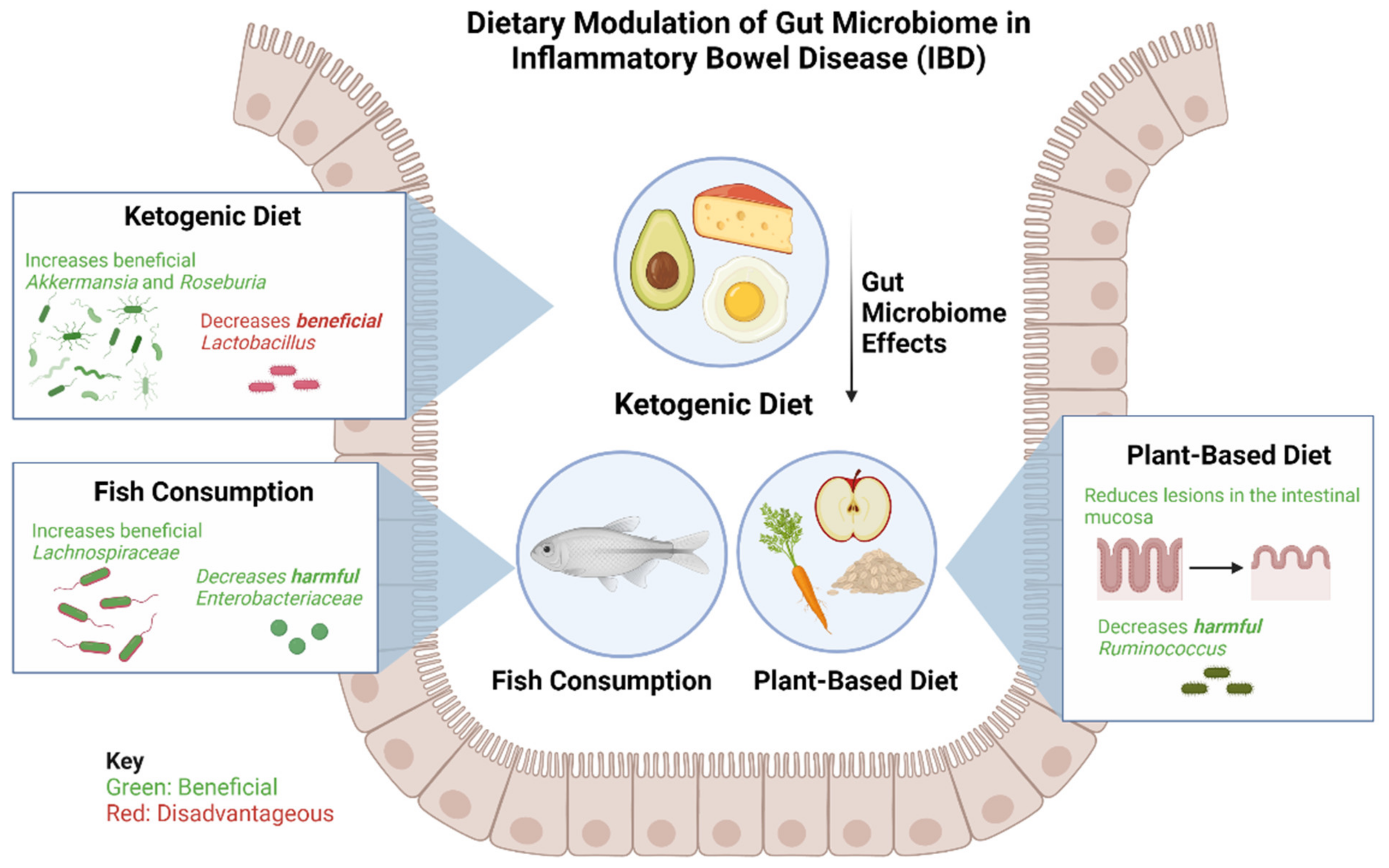 Microorganisms 10 01371 g002 550