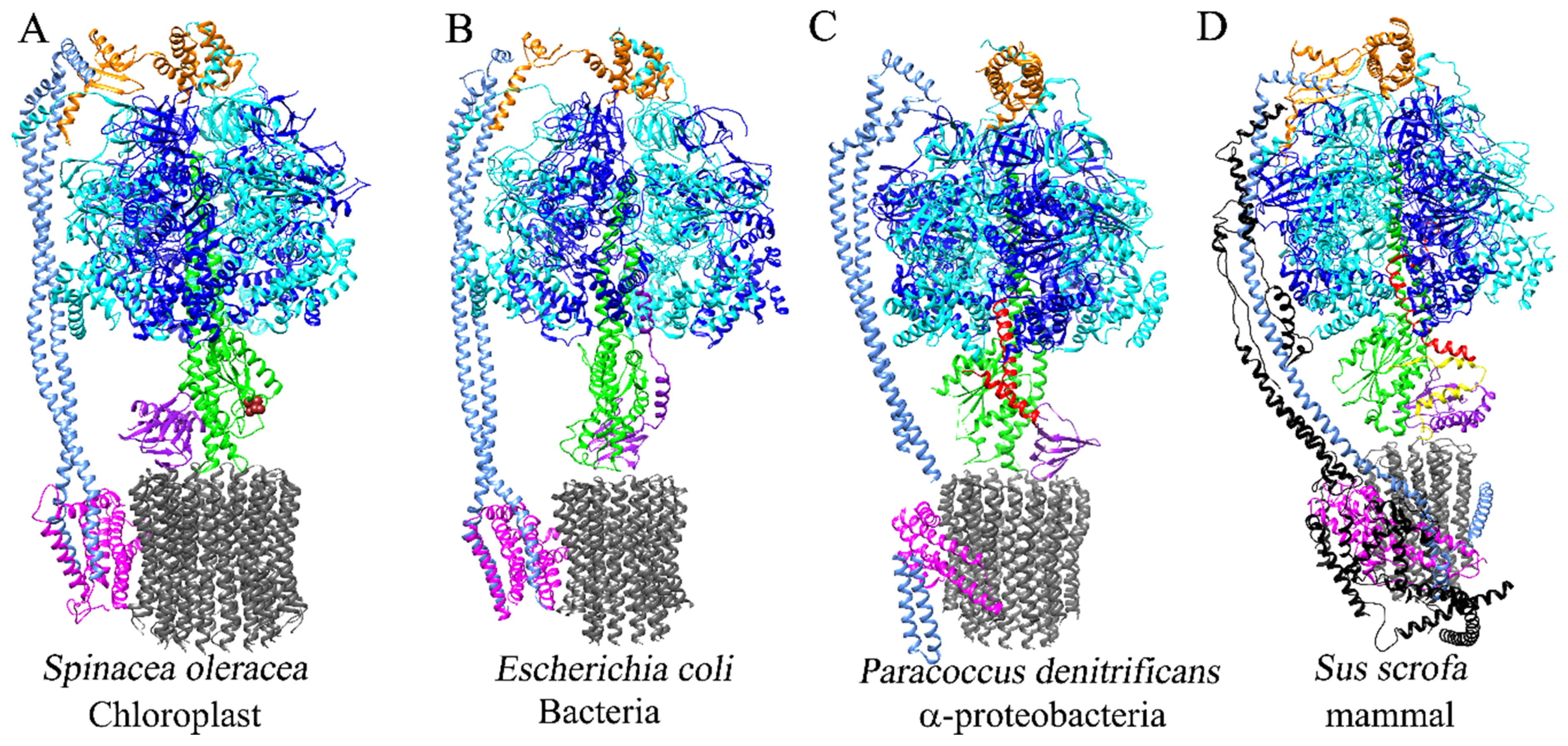 Microorganisms 10 01372 g001