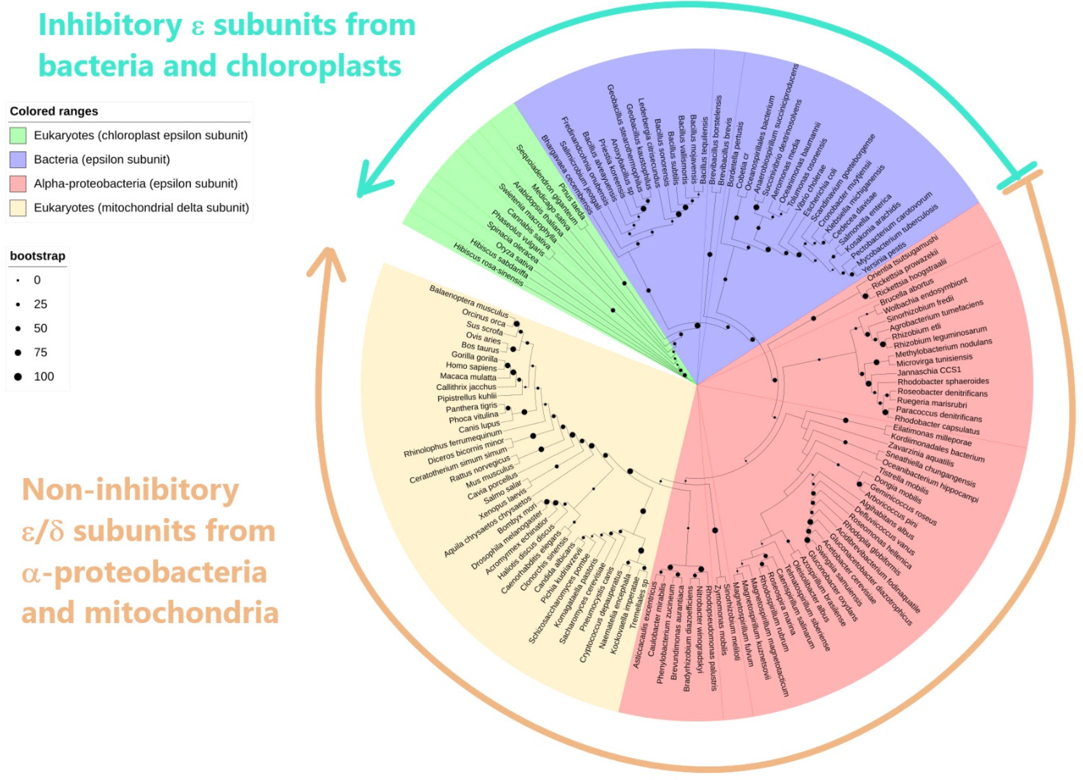 Microorganisms 10 01372 g003
