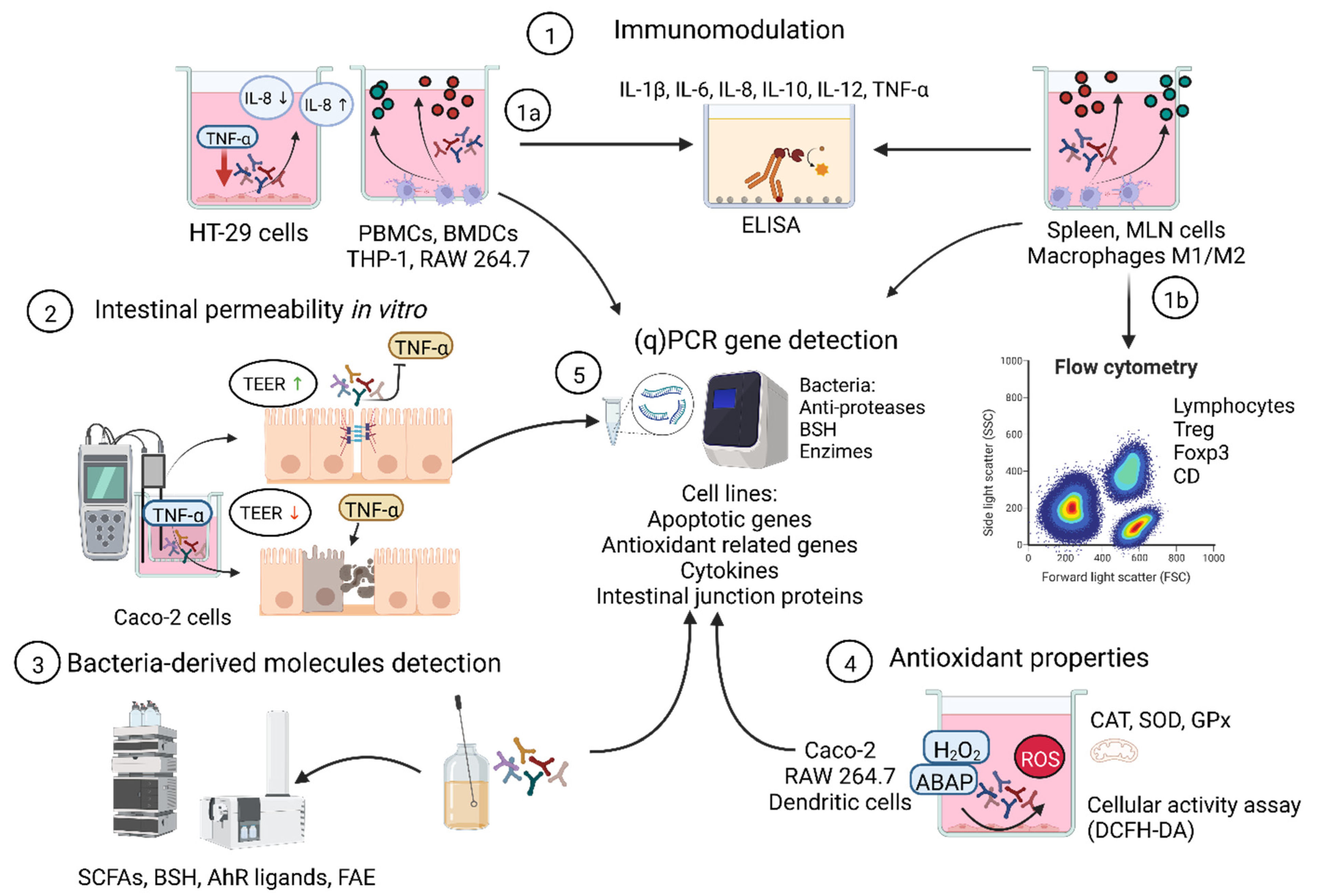 Microorganisms 10 01389 g002