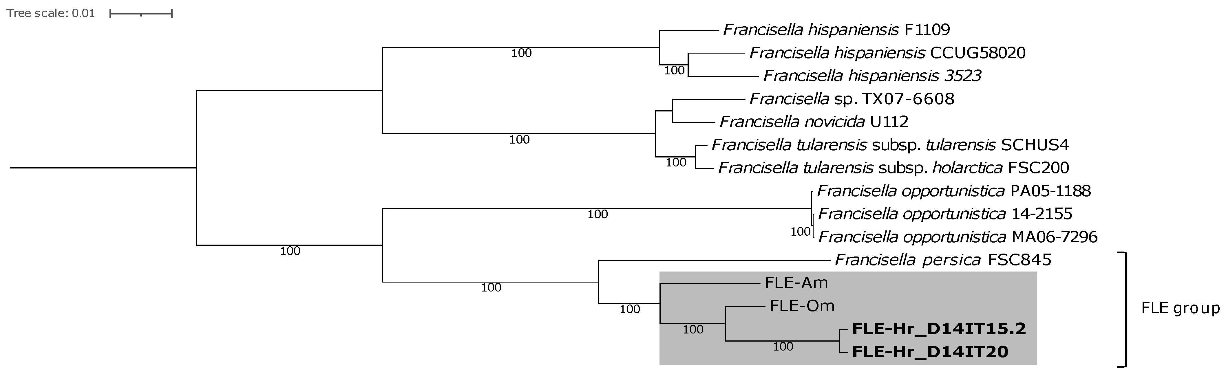 Microorganisms 10 01393 g002