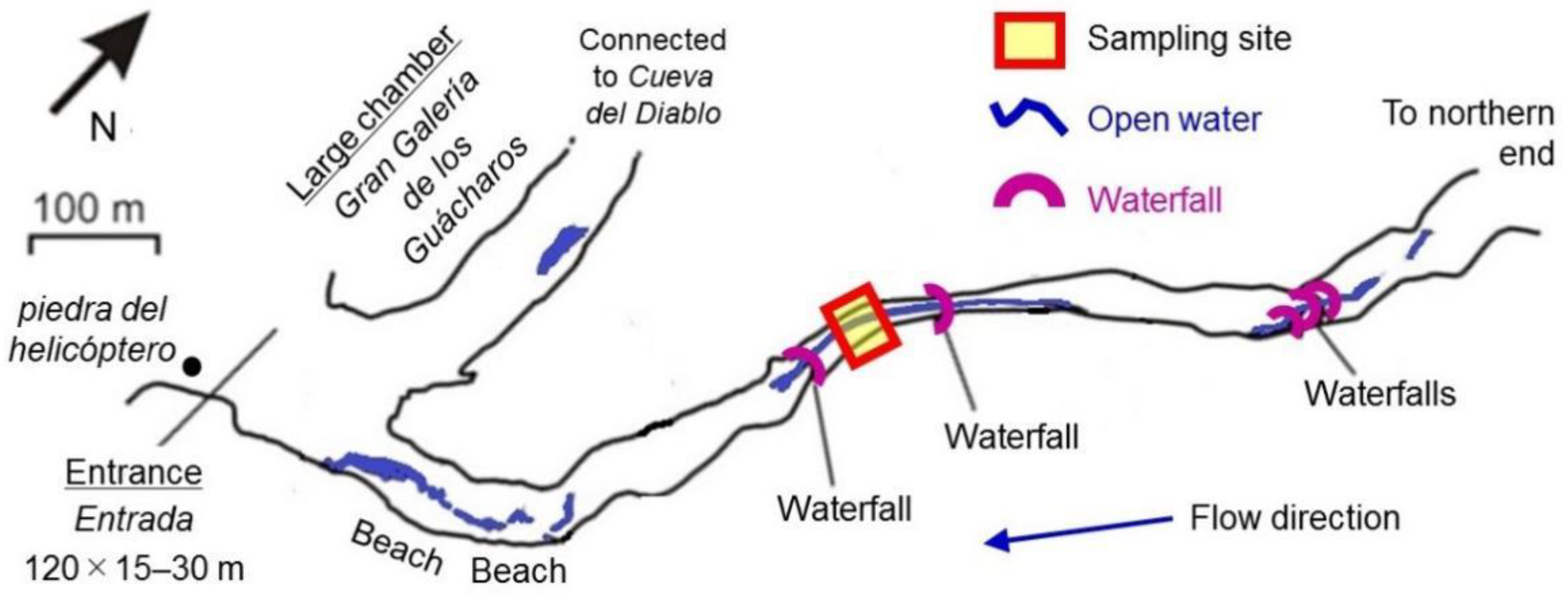 Microorganisms 10 01395 g001