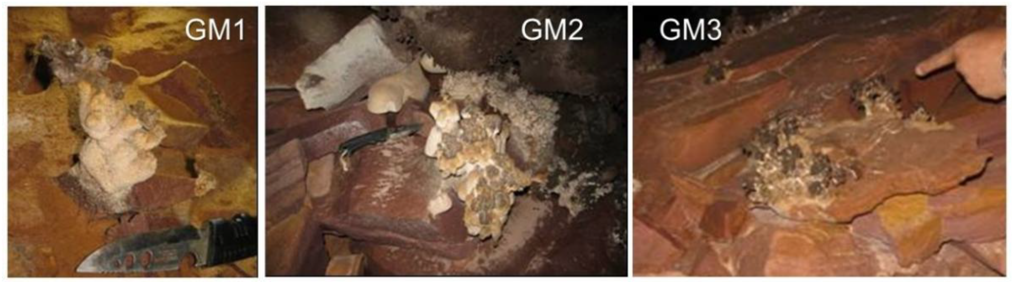 Microorganisms 10 01395 g002