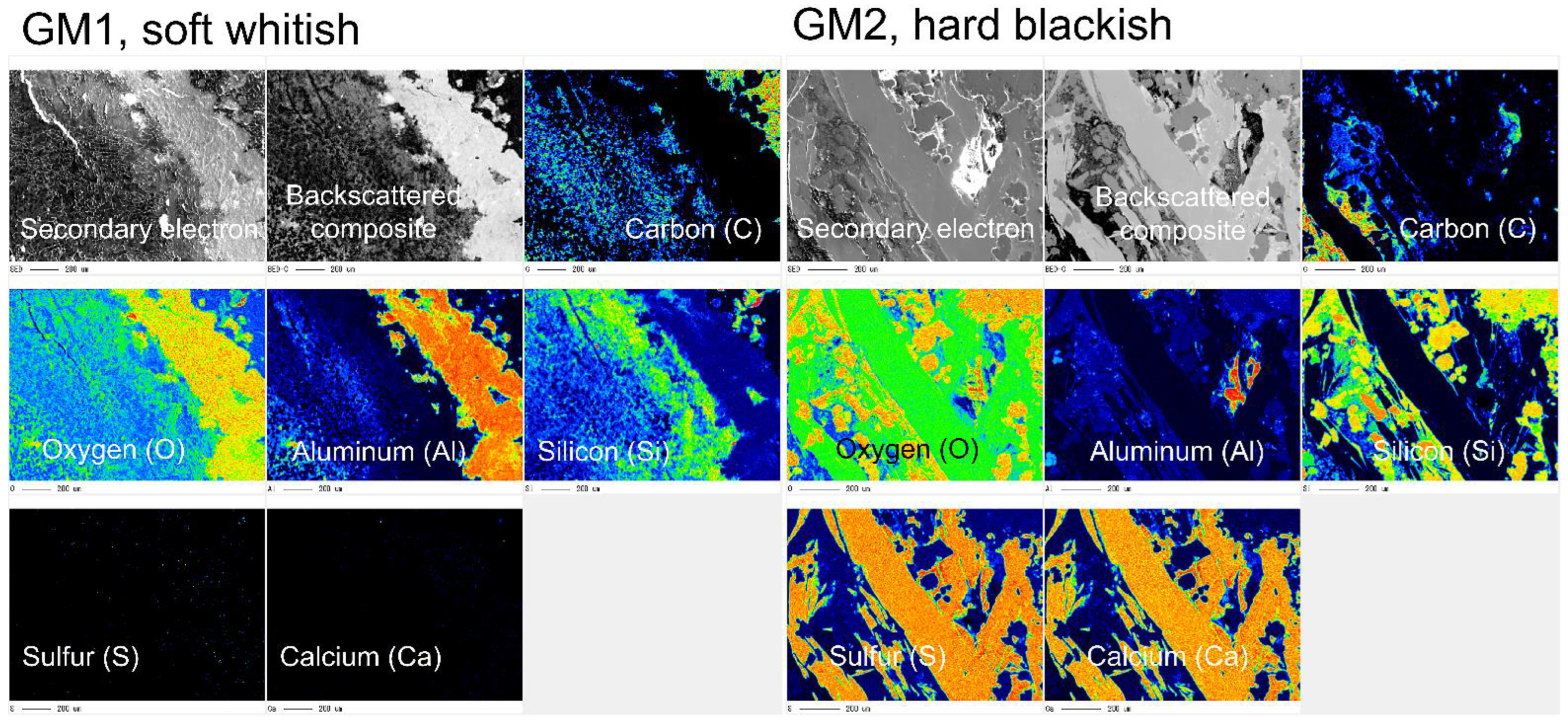 Microorganisms 10 01395 g005