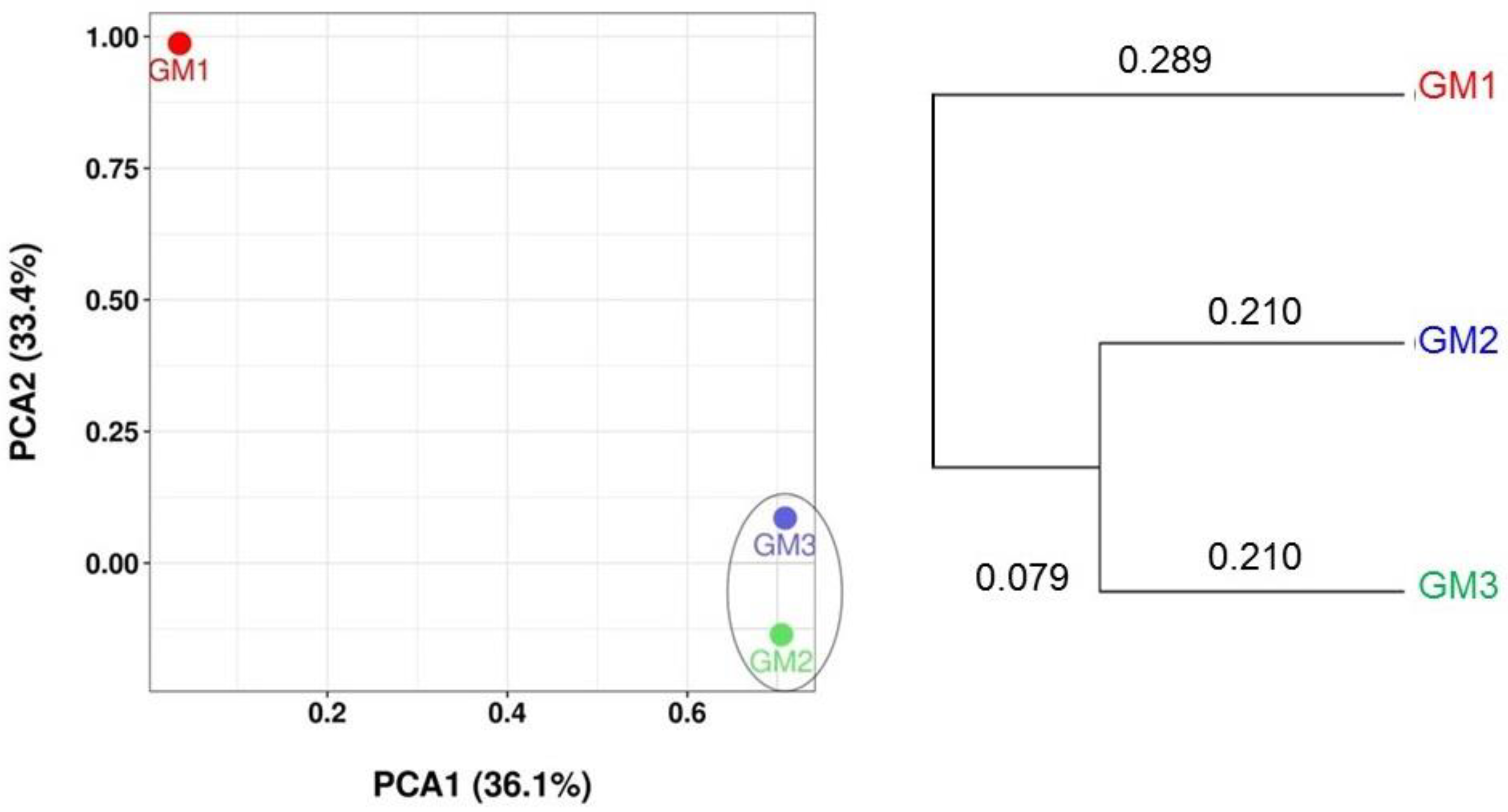 Microorganisms 10 01395 g008