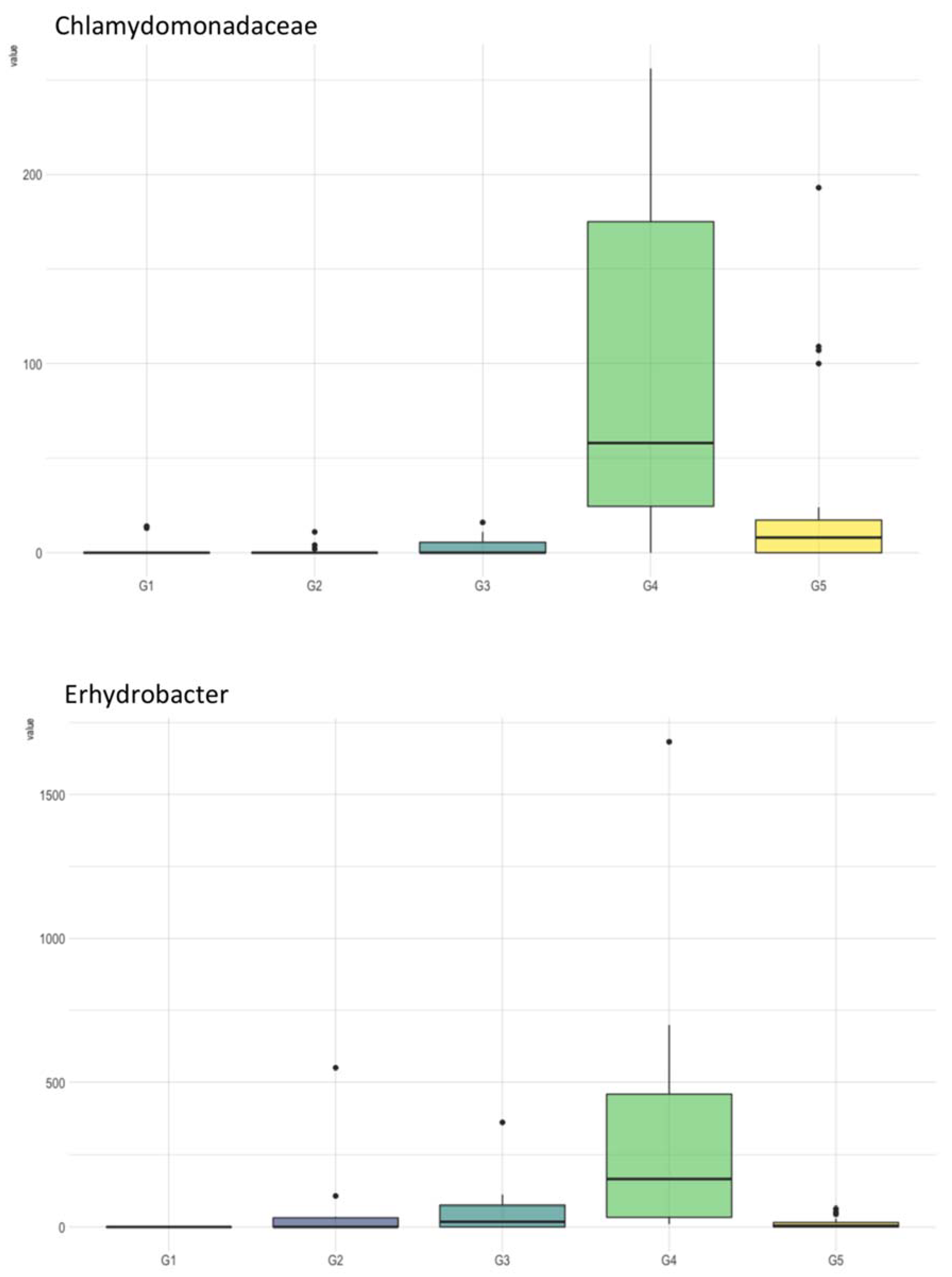 Microorganisms 10 01398 g005
