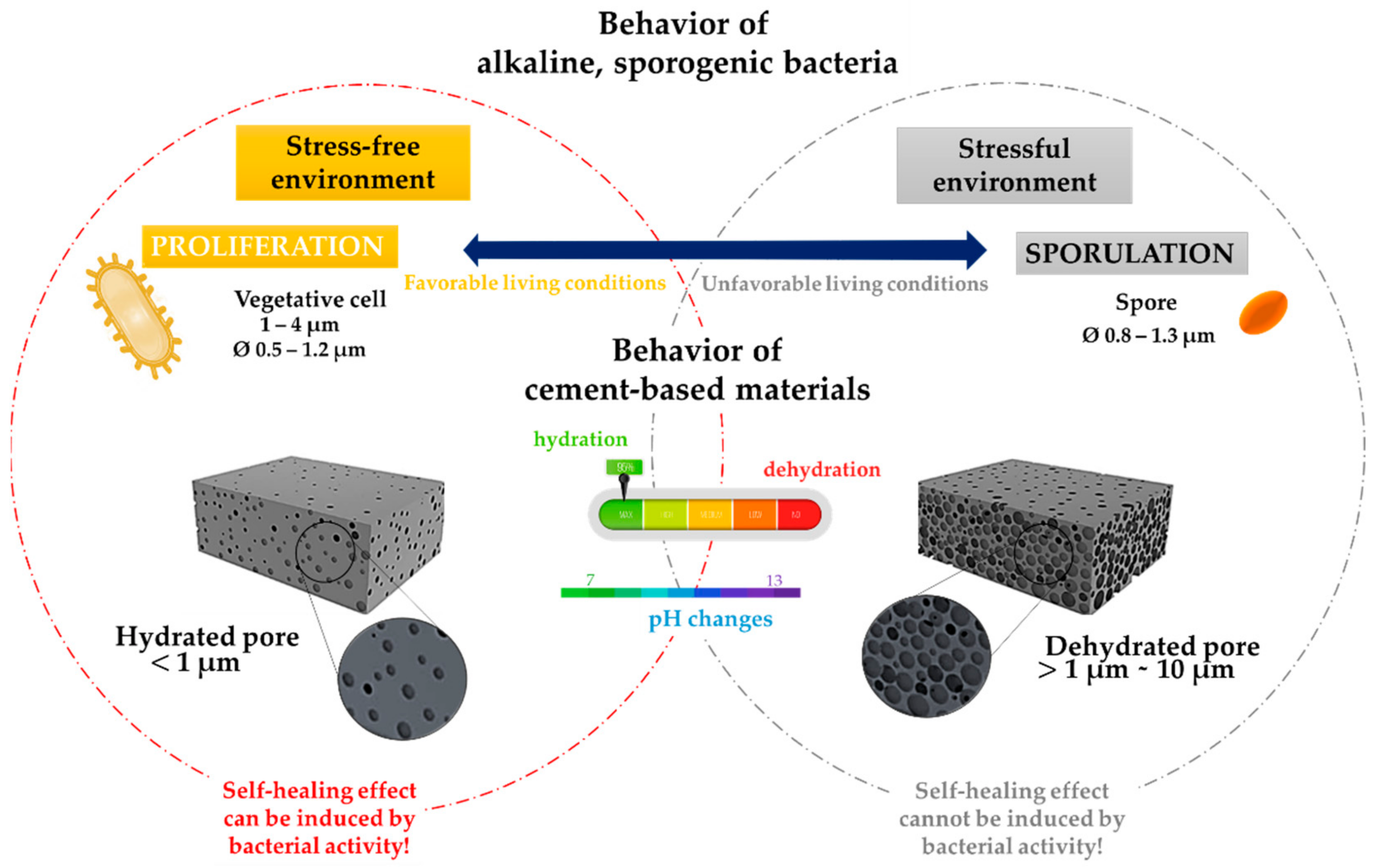 Microorganisms 10 01399 g003