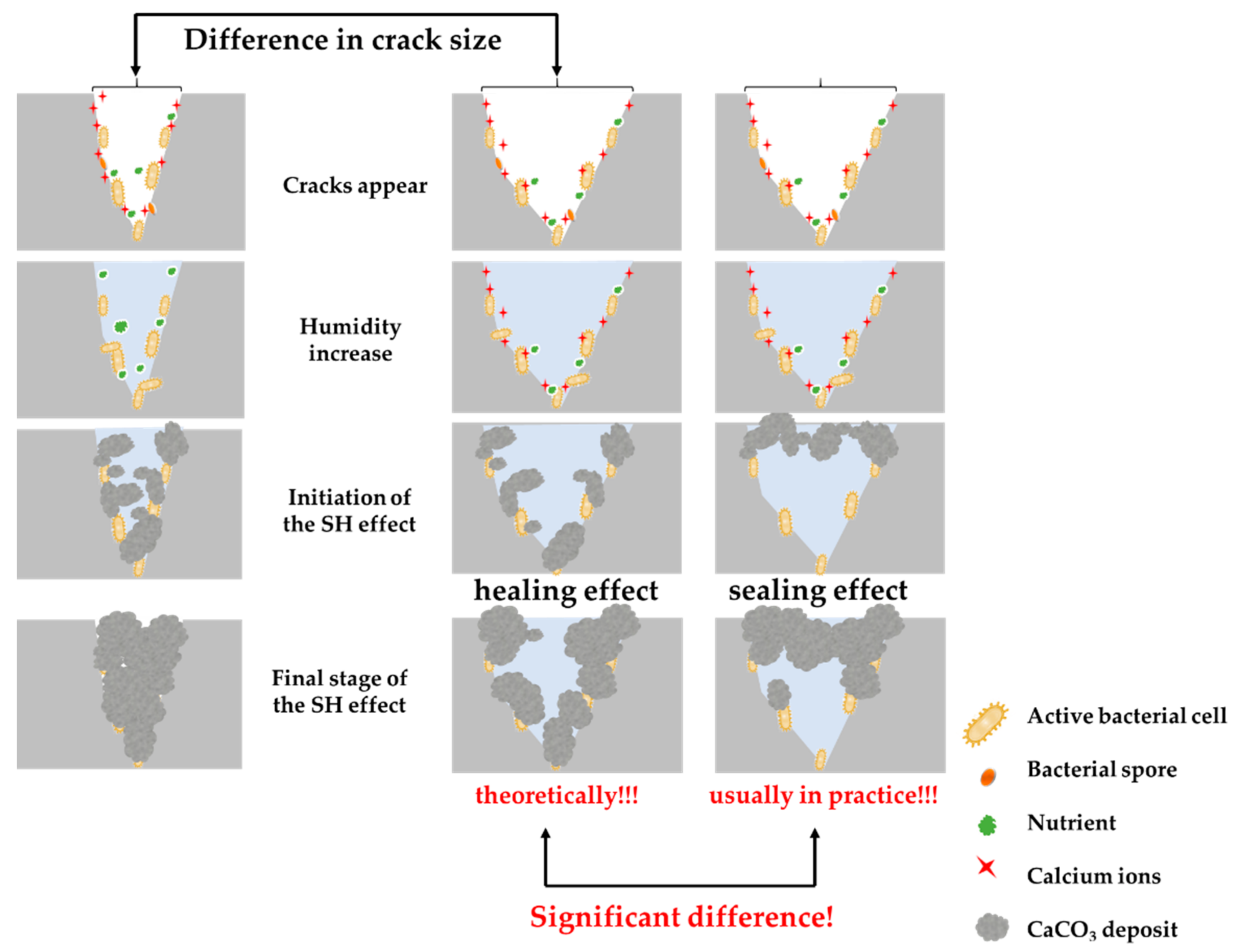 Microorganisms 10 01399 g006