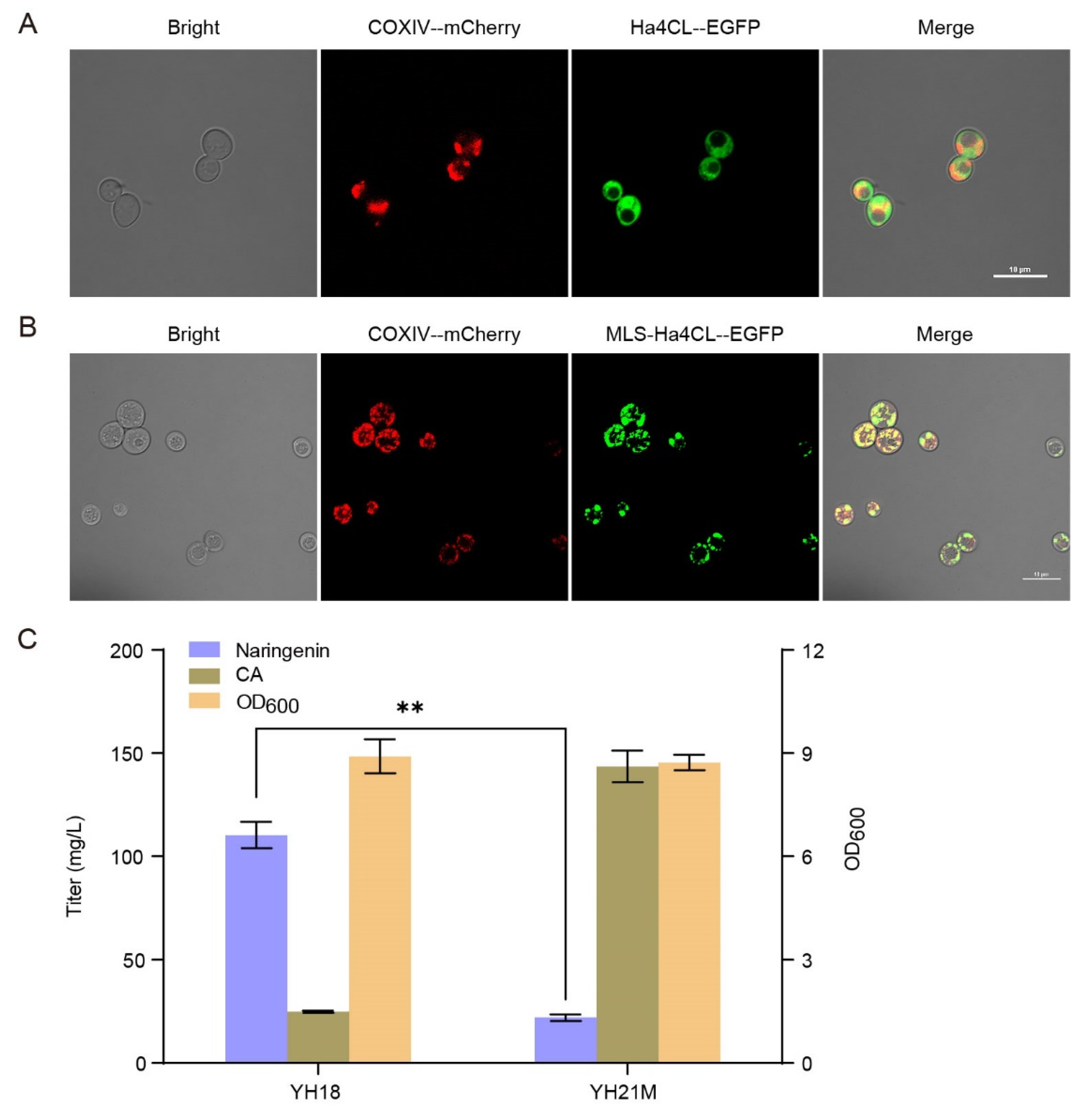 Microorganisms 10 01402 g003 Microorganisms 10 01402 g003