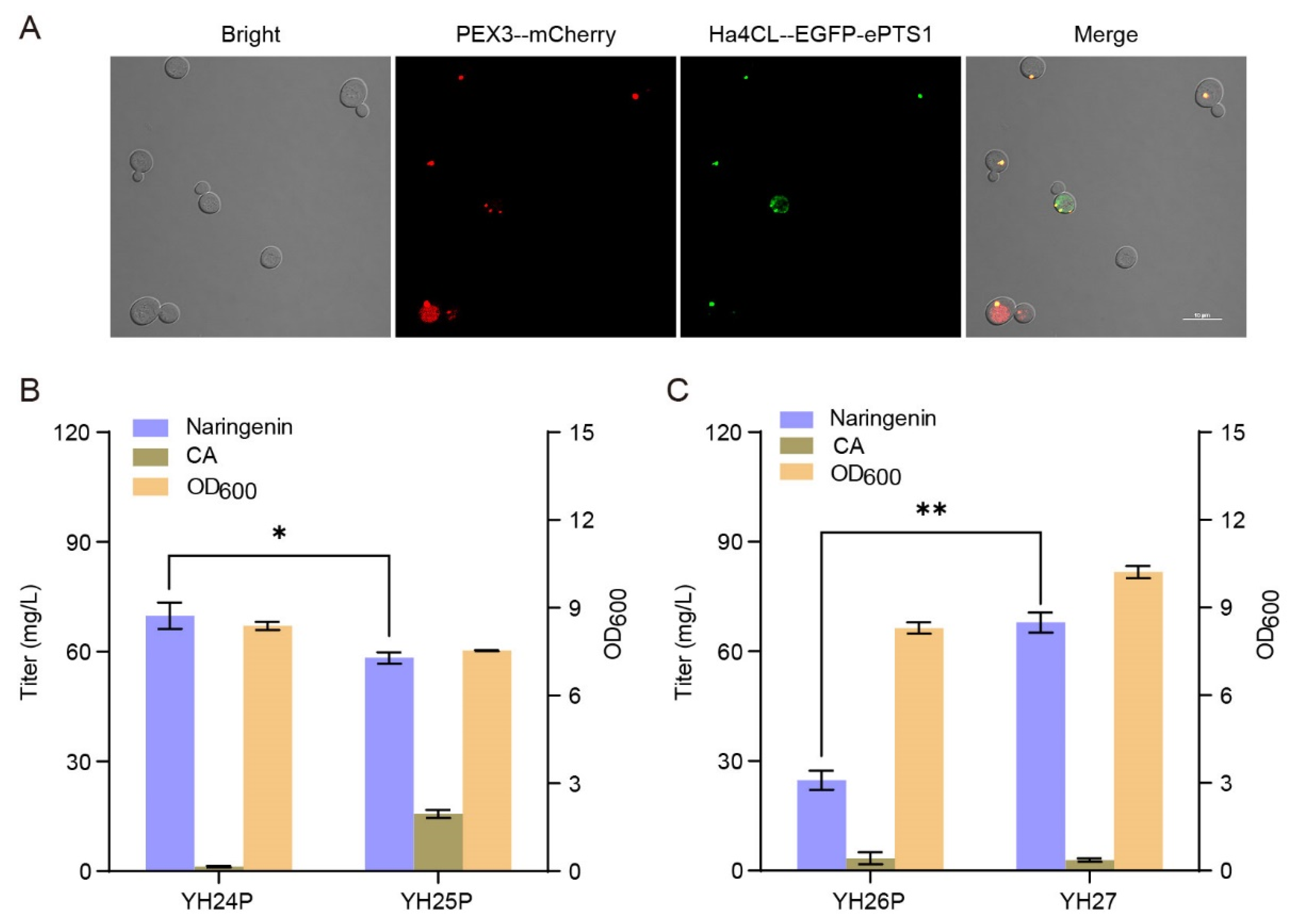 Microorganisms 10 01402 g004 Microorganisms 10 01402 g004