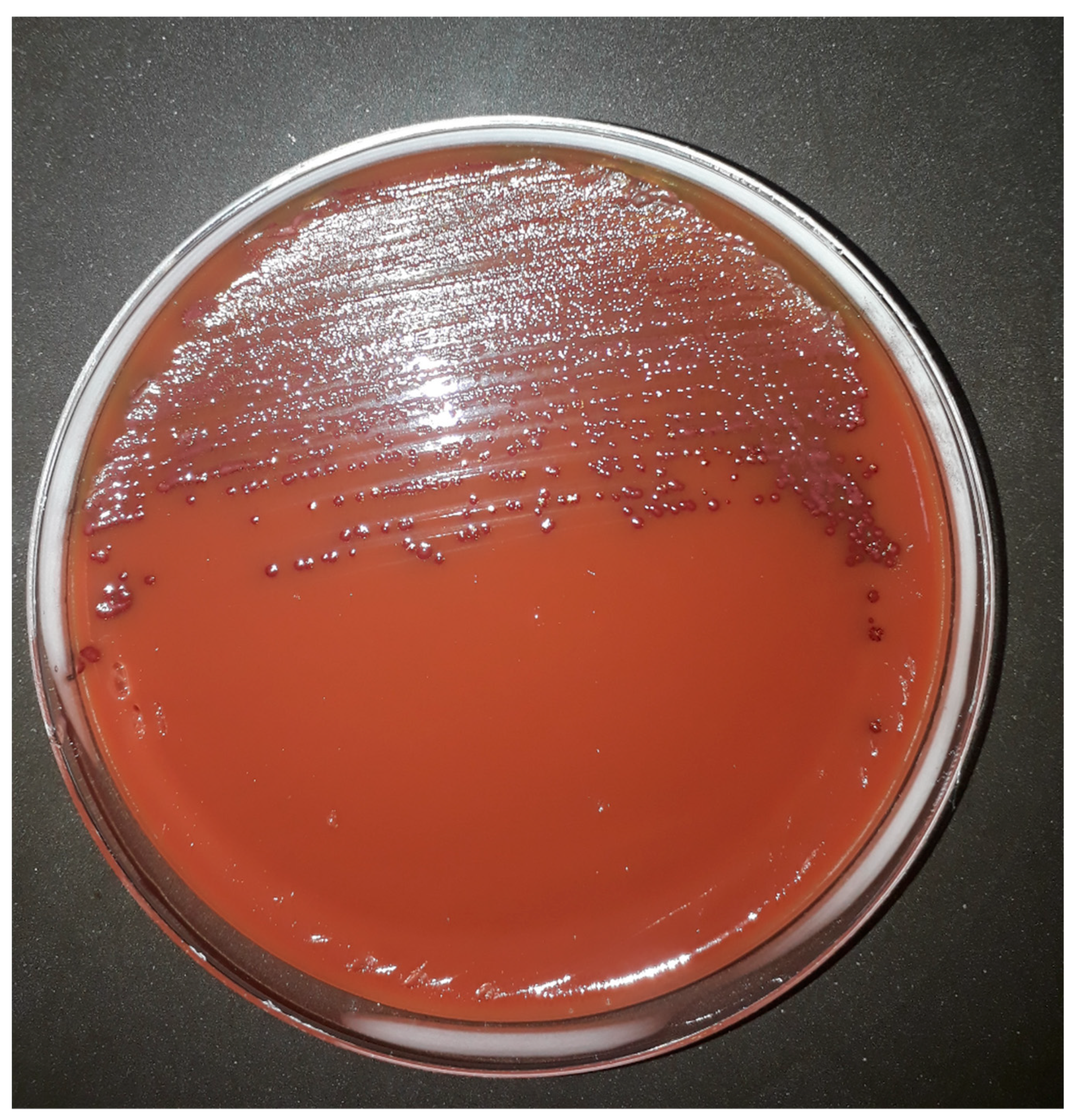 Microorganisms 10 01403 g001