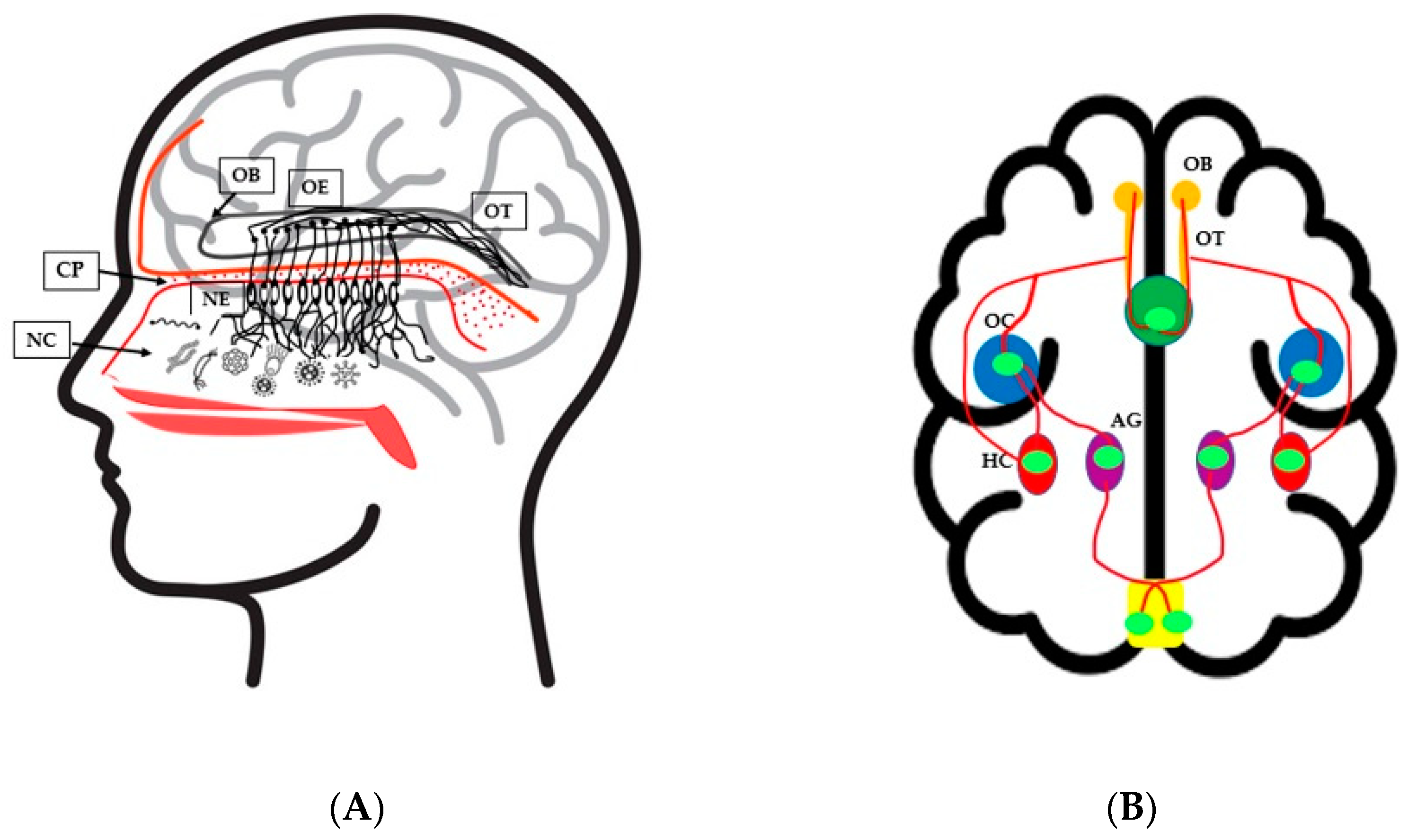 Microorganisms 10 01405 g001 Microorganisms 10 01405 g001