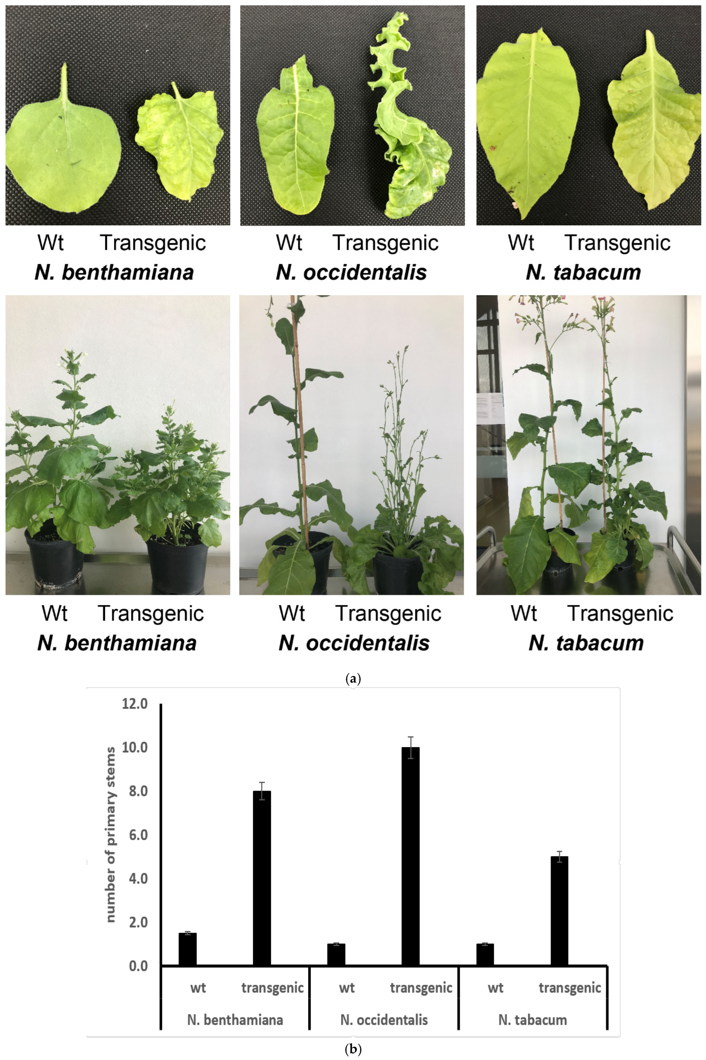 Microorganisms 10 01406 g007 550