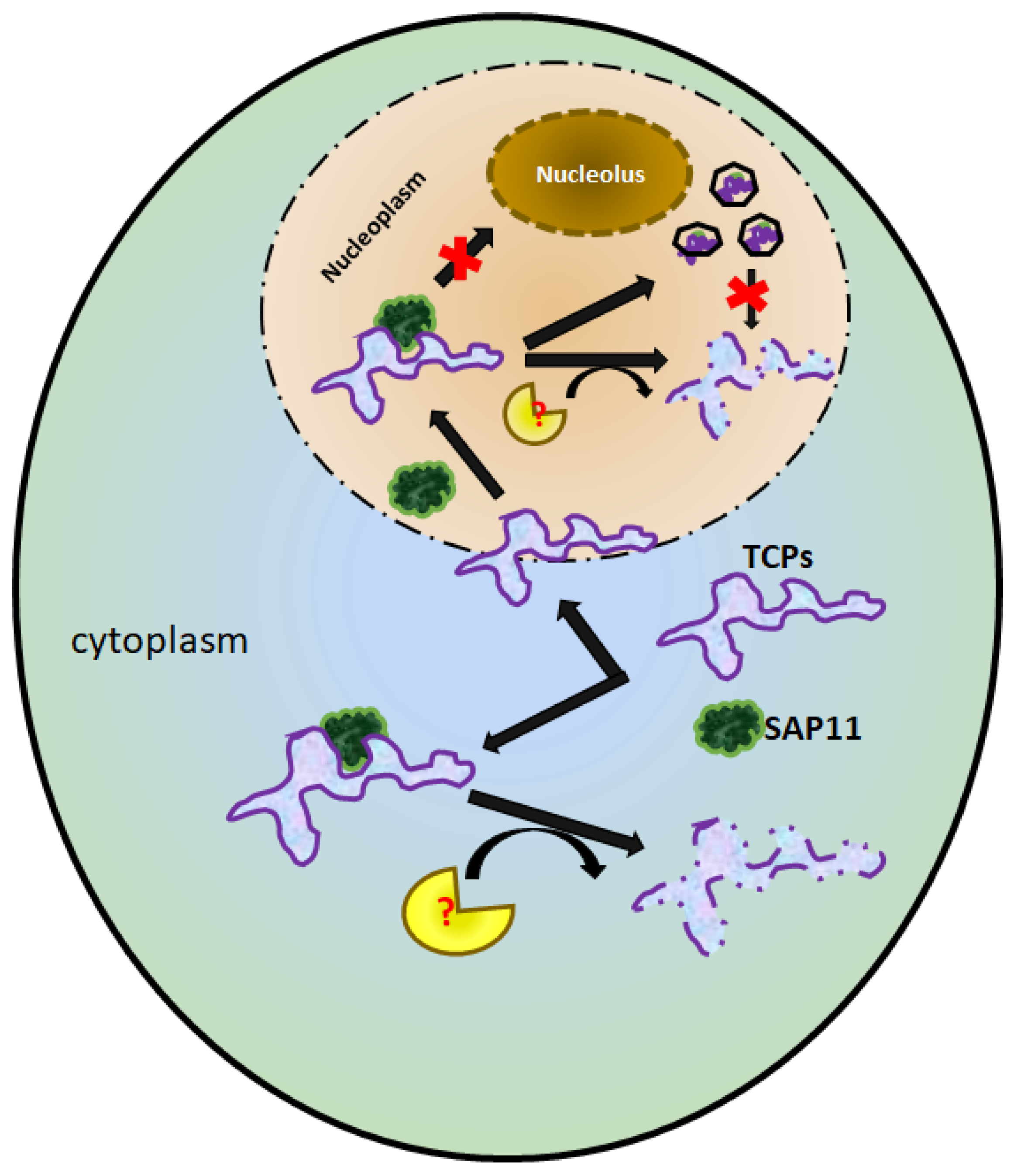 Microorganisms 10 01406 g008 550