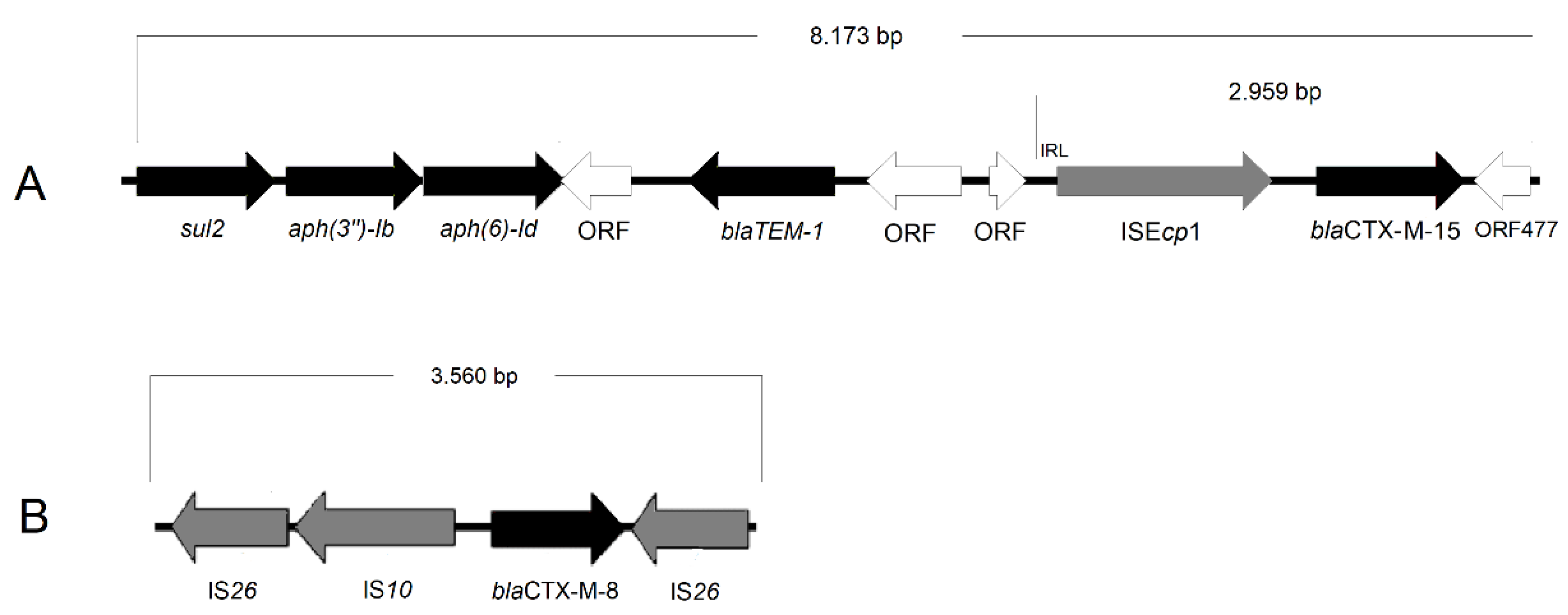 Microorganisms 10 01412 g002