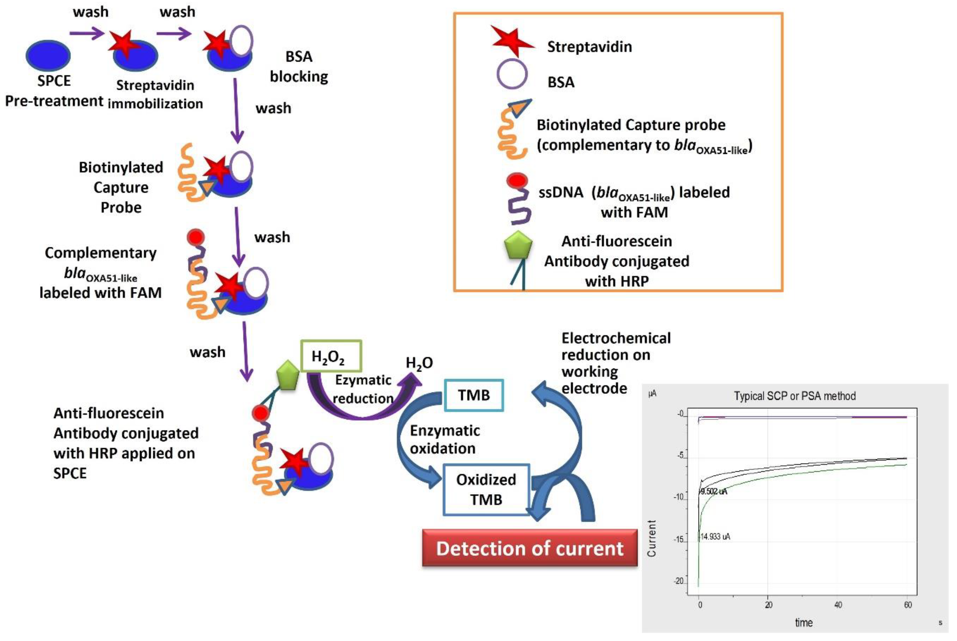 Microorganisms 10 01413 g001