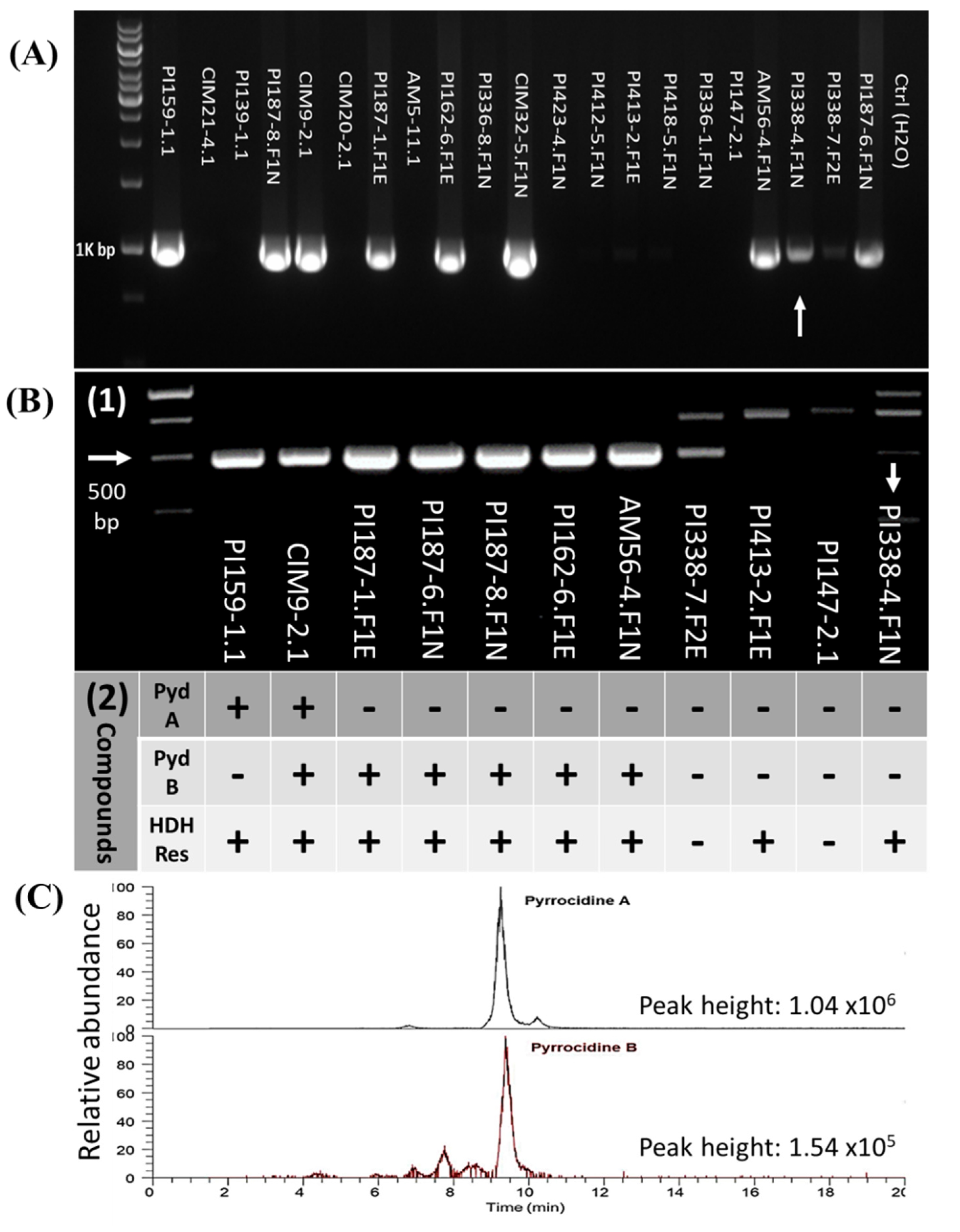 Microorganisms 10 01415 g002 550
