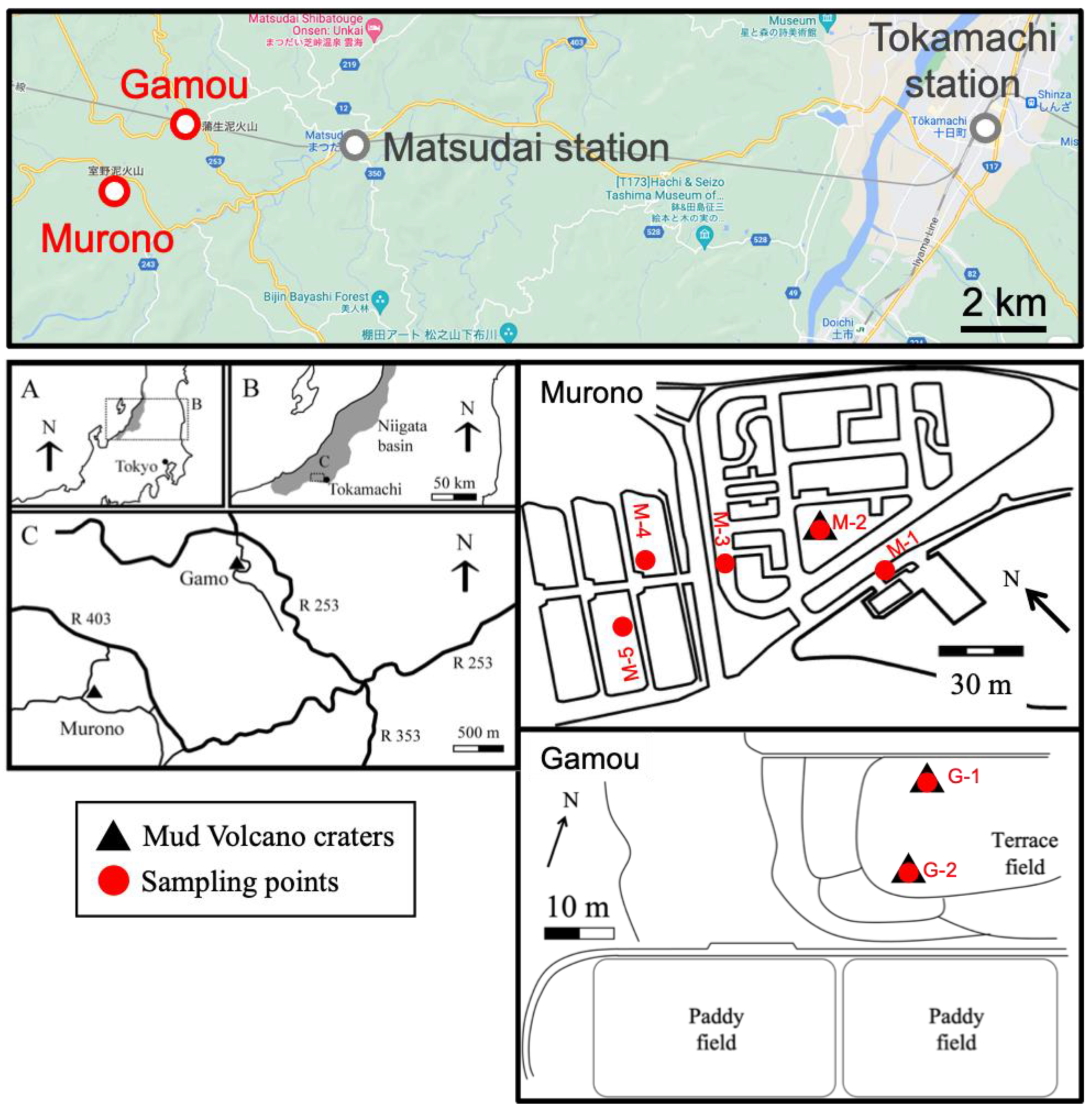 Microorganisms 10 01417 g001 Microorganisms 10 01417 g001