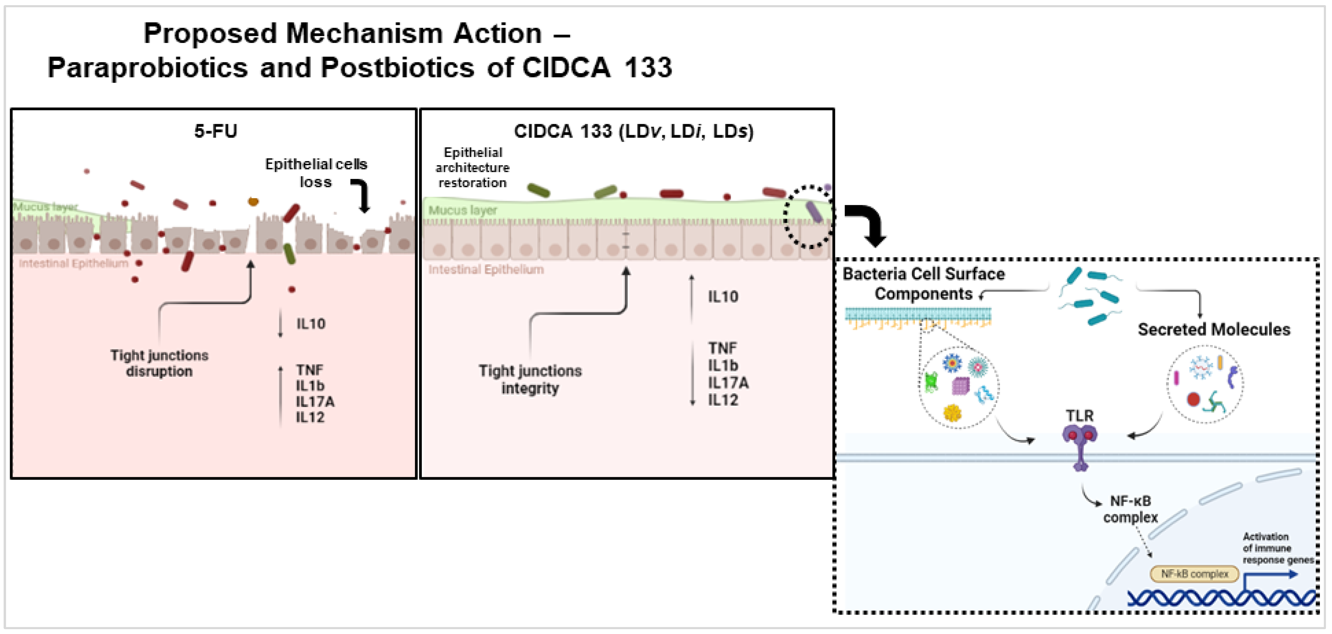 Microorganisms 10 01418 g008