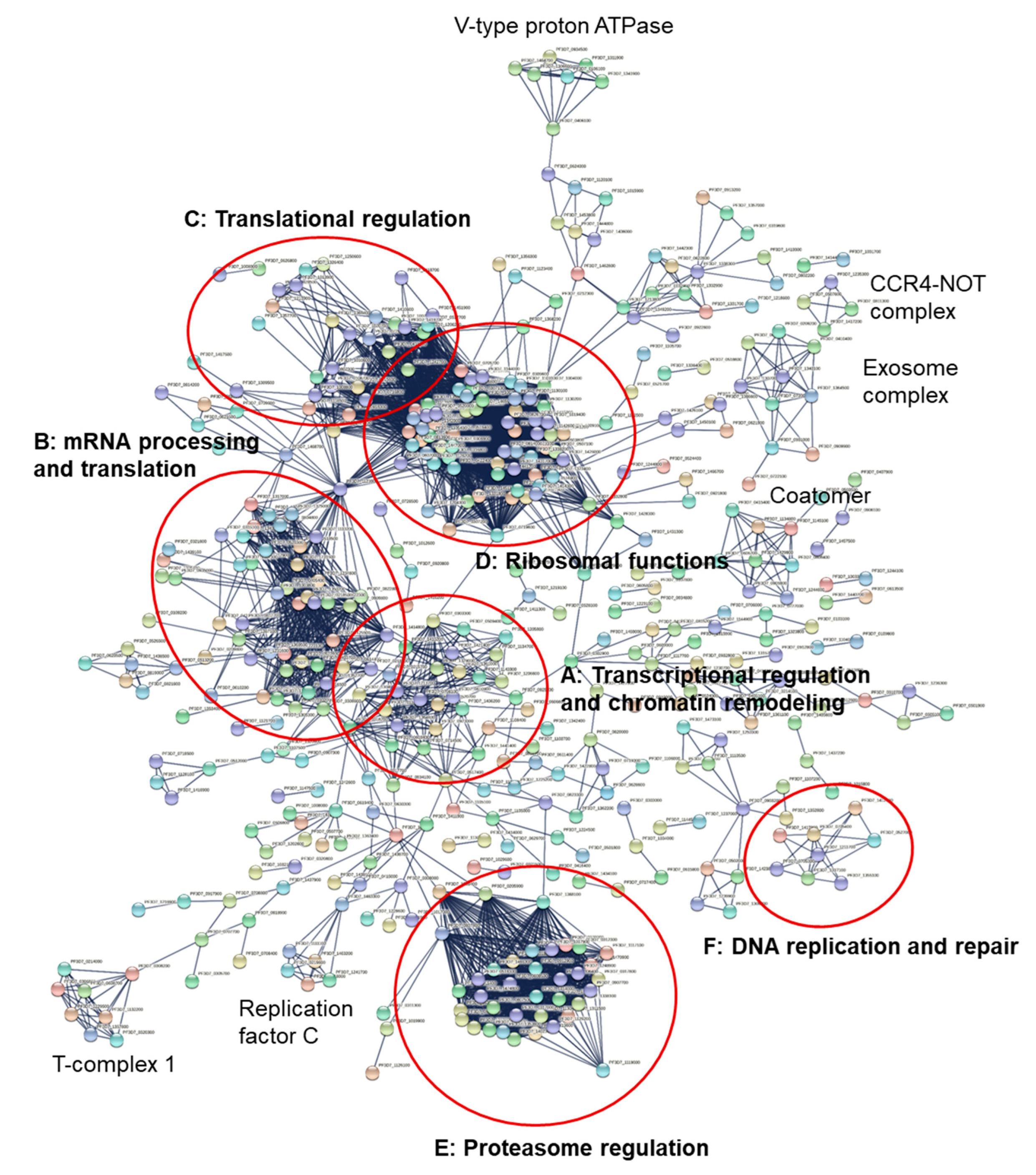 Microorganisms 10 01419 g006 550